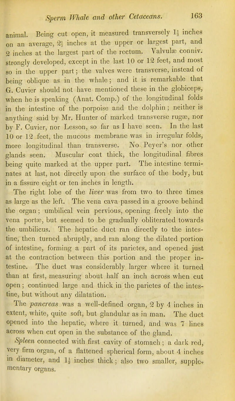 animal. Being cut open, it measured transversely 1| inches on an average, 2^ inches at the upper or largest part, and 2 inches at the largest part of the rectum. Valvular conniv. strongly developed, except in the last 10 or 12 feet, and most so in the upper part; the valves were transverse, instead of being oblique as in the whale; and it is remarkable that G. Cuvier should not have mentioned these in the globiceps, when he is speaking (Anat. Comp.) of the longitudinal folds in the intestine of the porpoise and the dolphin ; neither is anything said by Mr. Hunter of marked transverse rugae, nor by F. Cuvier, nor Lesson, so far as I have seen. In the last 10 or 12 feet, the mucous membrane was in irregular folds, more longitudinal than transverse. No Peyer's nor other glands seen. Muscular coat thick, the longitudinal fibres being quite marked at the upper part. The intestine termi- nates at last, not directly upon the surface of the body, but in a fissure eight or ten inches in length. The right lobe of the liver was from two to three times as large as the left. The vena cava passed in a groove behind the organ; umbilical vein pervious, opening freely into the vena portae, but seemed to be gradually obliterated towards the umbilicus. The hepatic duct ran directly to the intes- tine, then turned abruptly, and ran along the dilated portion of intestine, forming a part of its parietes, and opened just at the contraction between this portion and the proper in- testine. The duct was considerably larger where it turned than at first, measuring about half an inch across when cut open; continued large and thick in the parietes of the intes- tine, but without any dilatation. The pancreas was a well-defined organ, 2 by 4 inches in extent, white, quite soft, but glandular as in man. The duct opened into the hepatic, where it turned, and was 7 lines across when cut open in the substance of the gland. Spleen connected with first cavity of stomach ; a dark red, very firm organ, of a flattened spherical form, about 4 inches m diameter, and 1J inches thick; also two smaller, supple* mentary organs.