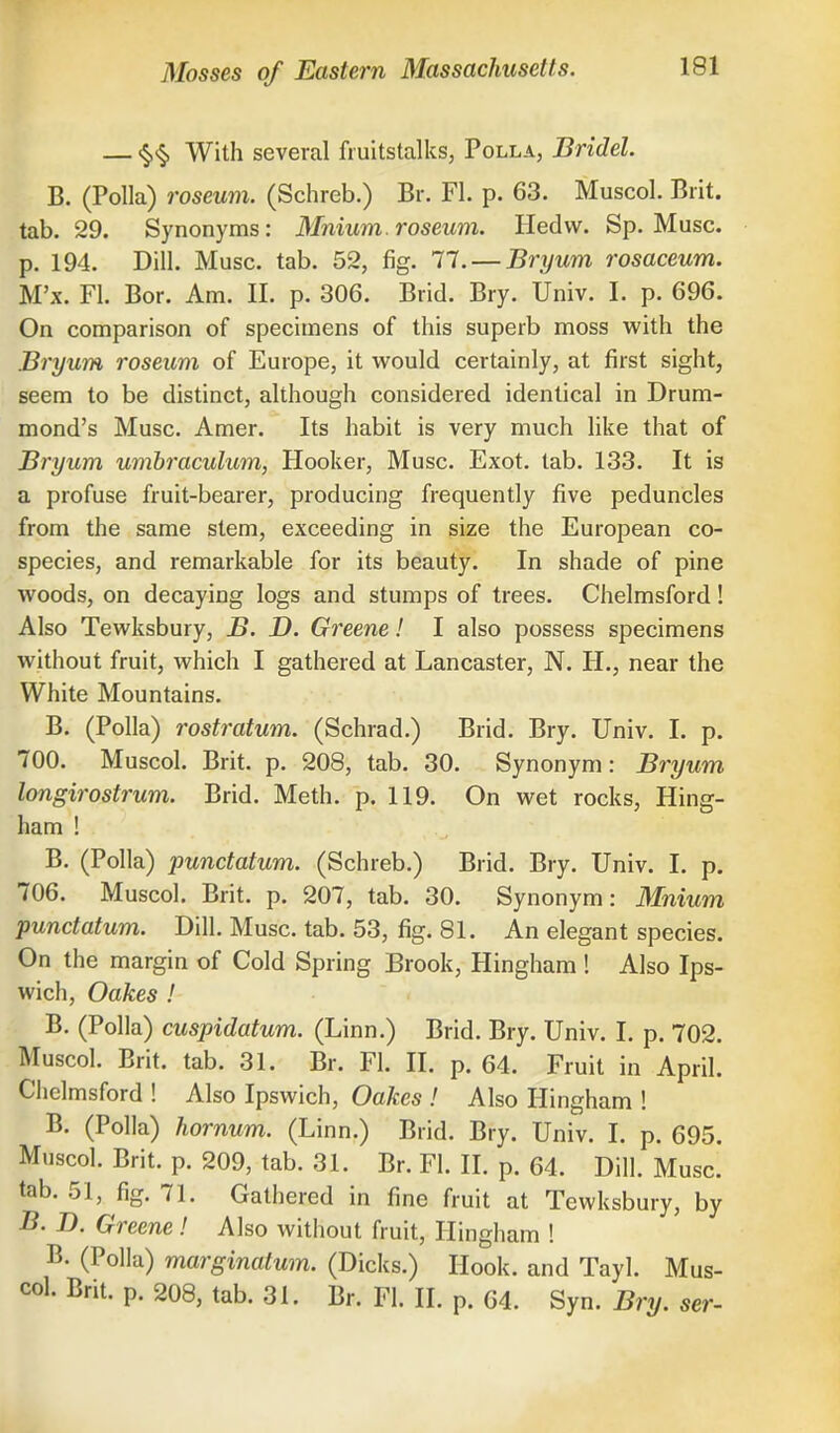 — <§,<§> With several fruitstalks, Polla, Bridel. B. (Polla) roseum. (Schreb.) Br. Fl. p. 63. Muscol. Brit, tab. 29. Synonyms: Mnium. roseum. Hedw. Sp. Muse, p. 194. Dill. Muse. tab. 52, fig. 77.— Bryum rosaceum. M'x. Fl. Bor. Am. II. p. 306. Brid. Bry. Univ. I. p. 696. On comparison of specimens of this superb moss with the Bryum roseum of Europe, it would certainly, at first sight, seem to be distinct, although considered identical in Drum- mond's Muse. Amer. Its habit is very much like that of Bryum umbraculum, Hooker, Muse. Exot. tab. 133. It is a profuse fruit-bearer, producing frequently five peduncles from the same stem, exceeding in size the European co- species, and remarkable for its beauty. In shade of pine woods, on decaying logs and stumps of trees. Chelmsford! Also Tewksbury, B. D. Greene! I also possess specimens without fruit, which I gathered at Lancaster, N. H., near the White Mountains. B. (Polla) rostratum. (Schrad.) Brid. Bry. Univ. I. p. 700. Muscol. Brit. p. 208, tab. 30. Synonym: Bryum longirostrum. Brid. Meth. p. 119. On wet rocks, Hing- ham ! B. (Polla) punctatum. (Schreb.) Brid. Bry. Univ. I. p. 706. Muscol. Brit. p. 207, tab. 30. Synonym: Mnium punctatum. Dill. Muse. tab. 53, fig. 81. An elegant species. On the margin of Cold Spring Brook, Hingham ! Also Ips- wich, Oakes ! B. (Polla) cuspidatum. (Linn.) Brid. Bry. Univ. L p. 702. Muscol. Brit. tab. 31. Br. Fl. II. p. 64. Fruit in April. Chelmsford ! Also Ipswich, Oakes ! Also Hingham ! B. (Polla) hornum. (Linn.) Brid. Bry. Univ. I. p. 695. Muscol. Brit. p. 209, tab. 31. Br. Fl. II. p. 64. Dill. Muse, tab. 51, fig. 71. Gathered in fine fruit at Tewksbury, by B. D. Greene! Also without fruit, Hingham ! B. (Polla) marginatum. (Dicks.) Hook, and Tayl. Mus- col. Brit. p. 208, tab. 31. Br. Fl. II. p. 64. Syn. Bry. ser-