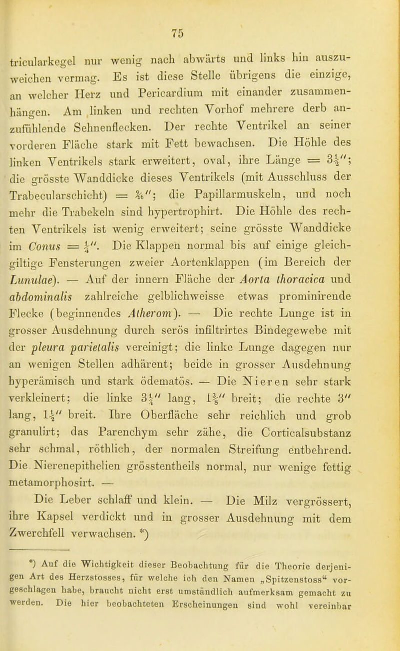 tricularkegel nur wenig nach abwärts und links hin auszu- weichen vermag. Es ist diese Stelle übrigens die einzige, an welcher Herz und Pericardium mit einander zusammen- hängen. Am linken und rechten Vorhof mehrere derb an- zufühlende Sehnenflecken. Der rechte Ventrikel an seiner vorderen Fläche stark mit Fett bewachsen. Die Höhle des linken Ventrikels stark erweitert, oval, ihre Länge = 34; die grösste Wanddicke dieses Ventrikels (mit Ausschluss der Trabecularschicht) = V; die Papillarmuskeln, und noch mehr die Trabekeln sind hypertrophirt. Die Höhle des rech- ten Ventrikels ist wenig erweitert; seine grösste Wanddicke im Conus = \. Die Klappen normal bis auf einige gleich- giltige Fensterungen zweier Aortenklappen (im Bereich der Lunulae). — Auf der innern Fläche der Aorla thoracica und abdominalis zahlreiche gelblichweisse etwas prominirende Flecke (beginnendes Atherom). — Die rechte Lunge ist in grosser Ausdehnung durch serös infiltrirtes Bindegewebe mit der pleura parietalis vereinigt; die linke Lunge dagegen nur an wenigen Stellen adhärent; beide in grosser Ausdehnung hyperämisch und stark ödematös. — Die Nieren sehr stark verkleinert; die linke S\ lang, i\ breit; die rechte 3 lang, \\ breit. Ihre Oberfläche sehr reichlich und grob granulirt; das Parenchym sehr zähe, die Corticalsubstanz sehr schmal, röthlich, der normalen Streifung entbehrend. Die Nierenepithelien grösstenteils normal, nur wenige fettig metamorphosirt. — Die Leber schlaff und klein. — Die Milz vererössert, ihre Kapsel verdickt und in grosser Ausdehnung mit dem Zwerchfell verwachsen. *) *) Auf die Wichtigkeit dieser Beobachtung für die Theorie derjeni- gen Art des Herzstosses, für welche ich den Namen „Spitzenstoss vor- geschlagen habe, braucht nicht erst umständlich aufmerksam gemacht zu werden. Die hier beobachteten Erscheinungen sind wohl vereinbar