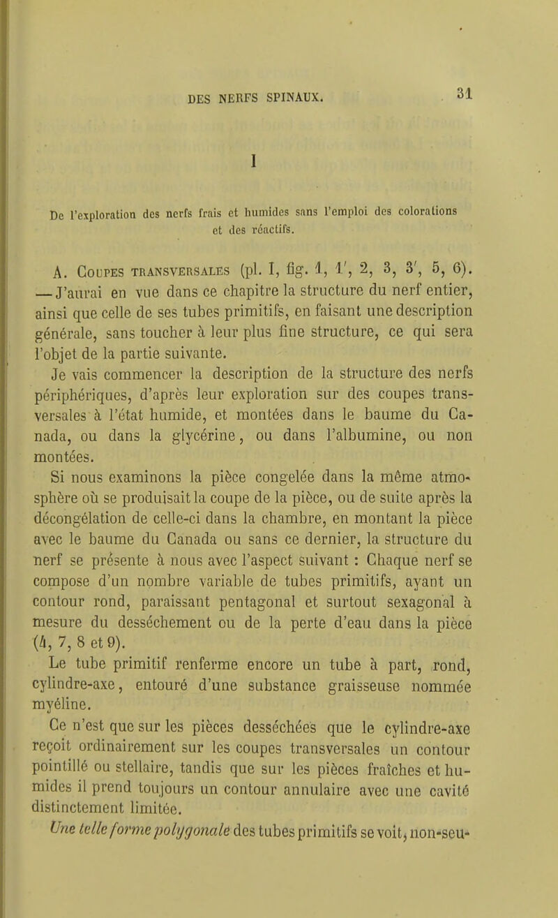I De l'exploration des nerfs frais et humides sans l'emploi des colorations et des réactifs. A. Coupes transversales (pl. I, fîg. 1, 1', 2, 3, 3', 5, 6). J'aurai en vue dans ce chapitre la structure du nerf entier, ainsi que celle de ses tubes primitifs, en faisant une description générale, sans toucher à leur plus fine structure, ce qui sera l'objet de la partie suivante. Je vais commencer la description de la structure des nerfs périphériques, d'après leur exploration sur des coupes trans- versales à l'état humide, et montées dans le baume du Ca- nada, ou dans la glycérine, ou dans l'albumine, ou non montées. Si nous examinons la pièce congelée dans la même atrao* sphère où se produisait la coupe de la pièce, ou de suite après la décongélation de celle-ci dans la chambre, en montant la pièce avec le baume du Canada ou sans ce dernier, la structure du nerf se présente à nous avec l'aspect suivant : Chaque nerf se compose d'un nombre variable de tubes primitifs, ayant un contour rond, paraissant pentagonal et surtout sexagonal à mesure du dessèchement ou de la perte d'eau dans la pièce {li, 7, 8 et 9). Le tube primitif renferme encore un tube à part, rond, cylindre-axe, entouré d'une substance graisseuse nommée myéline. Ce n'est que sur les pièces desséchées que le cylindre-axe reçoit ordinairement sur les coupes transversales un contour pointillé ou stellaire, tandis que sur les pièces fraîches et hu- mides il prend toujours un contour annulaire avec une cavité distinctement limitée. Une tdle forme polygonale des tubes primitifs se voit^non-seu*