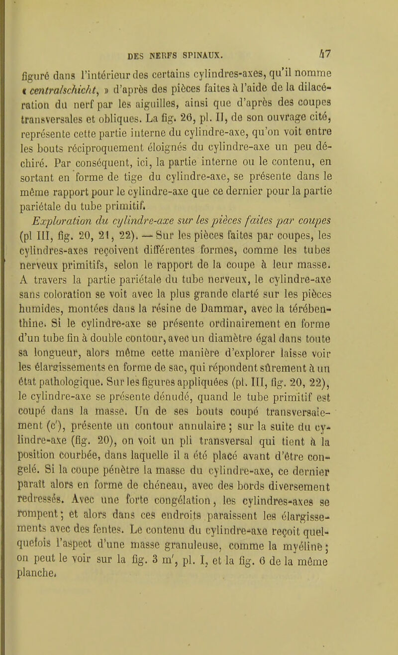 figuré dans l'intérieur des certains cylindres-axes, qu'il nomme I centralschicht^ » d'après des pièces faites à l'aide de la dilacé- ralion du nerf par les aiguilles, ainsi que d'après des coupes transversales et obliques. La fig. 26, pl. II, de son ouvrage cité, représente cette partie interne du cylindre-axe, qu'on voit entre les bouts réciproquement éloignés du cylindre-axe un peu dé- chiré. Par conséquent, ici, la partie interne ou le contenu, en sortant en forme de tige du cylindre-axe, se présente dans le même rapport pour le cylindre-axe que ce dernier pour la partie pariétale du tube primitif. Exploration du cijlindre-axe sur les pièces faites par coupes (pl III, fig. 20, 21, 22). — Sur les pièces laites par coupes, les cylindres-axes reçoivent différentes formes, comme les tubes nerveux primitifs, selon le rapport de la coupe à leur masse. A travers la partie pariétale du tube nerveux, le cylindre-axe sans coloration se voit avec la plus grande clarté sur les pièces humides, montées dans la résine de Dammar, avec la térében- thine* Si le cylindre-axe se présente ordinairement en forme d'un tube fin à double contour, avec un diamètre égal dans toute sa longueur, alors même cette manière d'explorer laisse voir les élargissements en forme de sac, qui répondent sûrement à un état pathologique. Sur les figures appliquées (pl. III, fig. 20, 22), le cylindre-axe se présente dénudé, quand le tube primitif est coupé dans la masse. Un de ses bouts coupé transversaie- raent (c'), présente un contour annulaire; sur la suite du cy- lindre-axe (fig. 20), on voit un pli transversal qui tient à la position courbée, dans laquelle il a été placé avant d'être con- gelé. Si la coupe pénètre la masse du cylindre-axe, ce dernier paraît alors en forme de chéneau, avec des bords diversement redressés. Avec une forte congélation, les cylindres-axes se rompent; et alors dans ces endroits paraissent les élargisse- ments avec des fentes. Le contenu du cylindre-axe reçoit quel- quefois l'aspect d'une masse granuleuse, comme la myélinè ; on peut le voir sur la fig. 3 m', pl. I, et la fig. 6 de la môme planche*