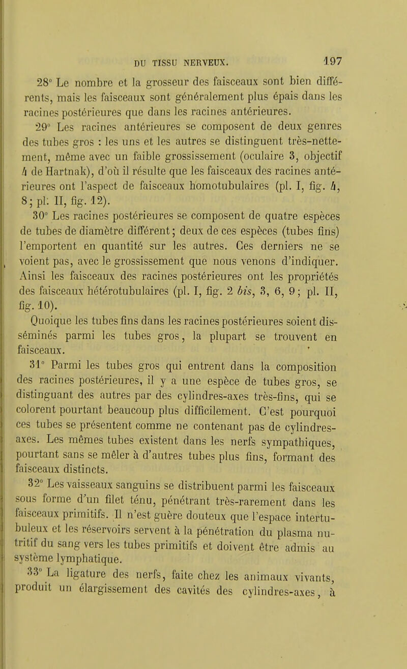 28° Le nombre et la grosseur des faisceaux sont bien diffé- rents, mais les faisceaux sont généralement plus épais dans les racines postérieures que dans les racines antérieures. 29° Les racines antérieures se composent de deux genres des tubes gros : les uns et les autres se distinguent très-nette- ment, même avec un faible grossissement (oculaire 3, objectif /i de Hartnak), d'oîi il résulte que les faisceaux des racines anté- rieures ont l'aspect de faisceaux homotubulaires (pl. I, fig. b, 8;pl: II, fig. 12). 30° Les racines postérieures se composent de quatre espèces de tubes de diamètre différent ; deux de ces espèces (tubes fins) l'emportent en quantité sur les autres. Ces derniers ne se voient pas, avec Je grossissement que nous venons d'indiquer. Ainsi les faisceaux des racines postérieures ont les propriétés des faisceaux hétérotubulaires (pl. I, fig, 2 bis, 3, 6, 9 ; pl. II, fig. 10). Quoique les tubes fins dans les racines postérieures soient dis- séminés parmi les tubes gros, la plupart se trouvent en faisceaux. 31° Parmi les tubes gros qui entrent dans la composition des racines postérieures, il y a une espèce de tubes gros, se distinguant des autres par des cylindres-axes très-fins, qui se colorent pourtant beaucoup plus difficilement. C'est pourquoi ces tubes se présentent comme ne contenant pas de cylindres- axes. Les mêmes tubes existent dans les nerfs sympathiques, pourtant sans se mêler à d'autres tubes plus fins, formant des faisceaux distincts. 32° Les vaisseaux sanguins se distribuent parmi les faisceaux sous forme d'un filet ténu, pénétrant très-rarement dans les faisceaux primitifs. Il n'est guère douteux que l'espace intertu- buleux et les réservoirs servent à la pénétration du plasma nu- tritif du sang vers les tubes primitifs et doivent être admis au système lymphatique. 33» La ligature des nerfs, faite chez les animaux vivants, produit un élargissement des cavités des cylindres-axes, à