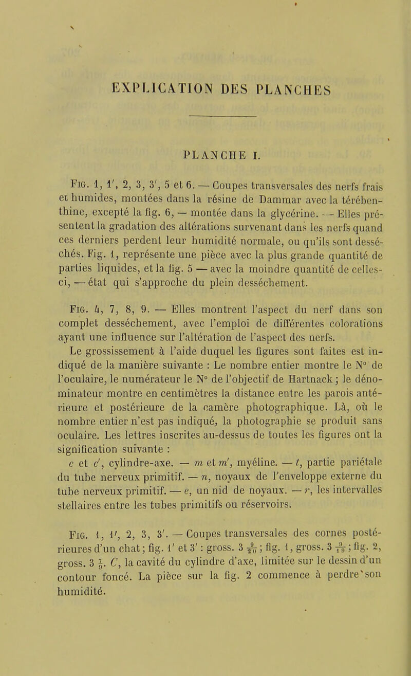 ff EXPLICATION DES PLANCHES PLANCHE I. FiG. 1, 1', 2, 3, 3', 5 et 6. — Coupes transversales des nerfs frais ei humides, montées dans la résine de Dammar avec la térében- thine, excepté la fig. 6, — montée dans la glycérine. Elles pré- sentent la gradation des altérations survenant dans les nerfs quand ces derniers perdent leur humidité normale, ou qu'ils sont dessé- chés. Fig. 1, représente une pièce avec la plus grande quantité de parties liquides, et la lig. 5 —avec la moindre quantité de celles- ci, — état qui s'approche du plein dessèchement. Fig. /4, 7, 8, 9. — Elles montrent l'aspect du nerf dans son complet dessèchement, avec l'emploi de différentes colorations ayant une influence sur l'altération de l'aspect des nerfs. Le grossissement à l'aide duquel les figures sont faites est in- diqué de la manière suivante : Le nombre entier montre le N de l'oculaire, le numérateur le N° de l'objectif de Hartnack ; le déno- minateur montre en centimètres la distance entre les parois anté- rieure et postérieure de la camère photographique. Là, où le nombre entier n'est pas indiqué, la photographie se produit sans oculaire. Les lettres inscrites au-dessus de toutes les figures ont la signification suivante : c et d, cylindre-axe, — m et m', myéline. —t, partie pariétale du tube nerveux primitif. — n, noyaux de l'enveloppe externe du tube nerveux primitif. — <?, un nid de noyaux. — r, les intervalles stellaires entre les tubes primitifs ou réservoirs. Fig. 1, V, 2, 3, 3'. — Coupes transversales des cornes posté- rieures d'un chat ; fig. 1' et 3' : gross. 3 ^ ; fig. 1, gross. 3 -f^ ; fig. 2, gross. 3 l- C, la cavité du cylindre d'axe, limitée sur le dessin d'un contour foncé. La pièce sur la fig. 2 commence à perdre'son humidité.