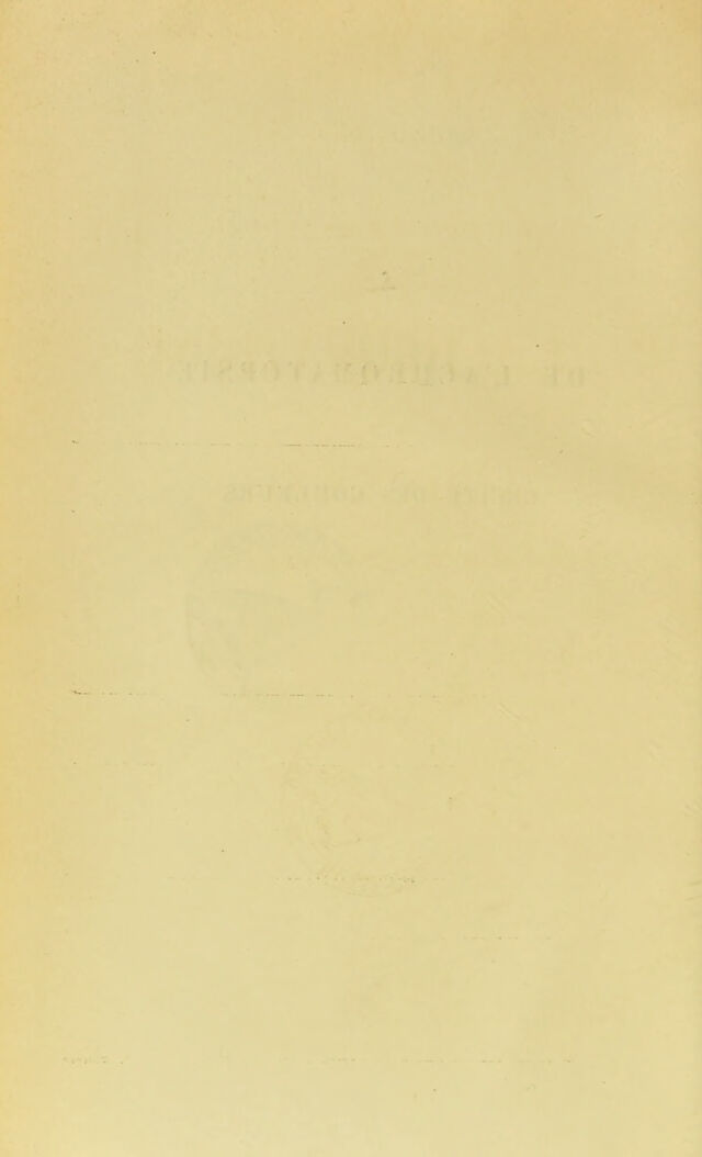 digitised image 2