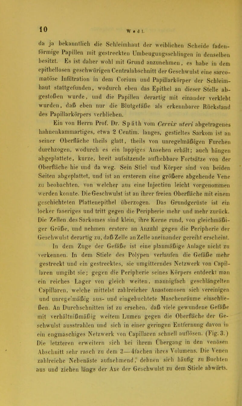 W « d 1. da ja bekanntlich die Schleimhaut der weiblichen Scheide faden- förmige Papillen mit gestreckten Umbeugungsschlingen in denselben besitzt. Es ist daher wohl mit Grund anzunehmen, es habe in dem epitheliosen geschwürigen Centraiabschnitt der Geschwulst eine sarco- matöse Infiltration in dem Corium und Papillarkörper der Schleim- haut staltgefunden, wodurch eben das Epithel an dieser Stelle ab- gestoßen wurde, und die Papillen derartig mit einander verklebt wurden, daß eben nur die Blutgefäße als erkennbarer Rückstand des Papillarkörpers verblieben. Ein von Herrn Prof. Dr. Späth vom Cervix uteri abgetragenes hahnenkammartiges, etwa 2 Centim. langes, gestieltes Sarkom ist an seiner Oberfläche theils glatt, theils von unregelmäßigen Furchen durchzogen, wodurch es ein lappiges Ansehen erhält; auch hängen abgeplattete, kurze, breit aufsitzende aufhebbare Fortsätze von der Oberfläche hie und da weg. Sein Stiel und Körper sind von beiden Seiten abgeplattet, und ist an ersterem eine größere abgehende Vene zu beobachten, von Avelcher aus eine Injection leicht vorgenommen werden konnte. Die Geschwulst ist an ihrer freien Oberfläche mit einem geschichteten Plattenepithel überzogen. Das Grundgerüste ist ein locker faseriges und tritt gegen die Peripherie mehr und mehr zurück. Die Zellen des Sarkomes sind klein, ihre Kerne rund, von gleichmäßi- ger Größe, und nehmen erstere an Anzahl gegen die Peripherie der Geschwulst derartig zu, daß Zelle an Zelle aneinander gereiht erscheint. In dem Zuge der Gefäße ist eine planmäßige Anlage nicht zu verkennen. In dem Stiele des Polypen verlaufen die Gefäße mehr gestreckt und ein gestrecktes, sie umgitterndes Netzwerk von Capil- laren umgibt sie; gegen die Peripherie seines Körpers entdeckt man ein reiches Lager von gleich weiten, mannigfach geschlängelten Capillaren, welche mittelst zahlreicher Anastomosen sich vereinigen und unregelmäßig aus- und eingebuchtete Maschenräume einschlie- ßen. An Durchschnitten ist zu ersehen, daß viele gewundene Gefäße mit verhältnißmäßig weitem Lumen gegen die Oberfläche der Ge- schwulst ausstrahlen und sich in einer geringen Entfernung davon in ein engmaschiges Netzwerk von Capillaren schnell auflösen. (Fig. 3.) Die letzteren erweitern sich bei ihrem Übergang in den venösen Abschnitt sehr rasch zu dem 3—4fachen ihres Volumens. Die Venen zahlreiche Nebenäste aufnehmend, dehnen sieh häufig zu Buchten aus und ziehen längs der Axe der Geschwulst zu dem Stiele abwärts.