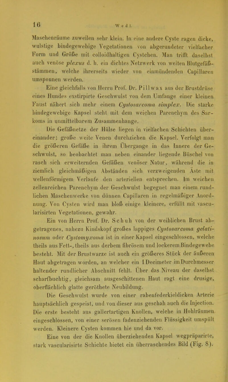 1«) Maschenräume zuweilen sehr klein. In eine andere Cyste ragen dicke, wulstige bindegewebige Vegetationen von abgerundeter vielfacher Form und Größe mit colloidhaltigen Cystchen. Man trifft daseihst auch venöse plexus d. b. ein dichtes Netzwerk von weiten Blutgefäß- stämmen, welche ihrerseits wieder von einmündenden Capillaren umsponnen werden. Eine gleichfalls von Herrn Prof. Dr. Pill wax aus der Brustdrüse eines Hundes exstirpirle Geschwulst von dem Umfange einer kleinen Faust nähert sich mehr einem Cyslosarcoma simplem. Die starke bindegewebige Kapsel steht mit dem weichen Parenchym des Sar- koms in unmittelbarem Zusammenhange. Die Gefäßnetze der Hülse liegen in vielfachen Schichten über- einander; große weite Venen durchziehen die Kapsel. Verfolgt man die größeren Gefäße in ihrem Übergange in das Innere der Ge- schwulst, so beobachtet man neben einander liegende Büschel von rasch sich erweiternden Gefäßen venöser Natur, während die in ziemlich gleichmäßigen Abständen sich verzweigenden Aste mit wellenförmigem Verlaufe den arteriellen entsprechen. Im weichen zellenreichen Parenchym der Geschwulst begegnet man einein rund- lichen Maschenwerke von dünnen Capillaren in regelmäßiger Anord- nung. Von Cysten wird man bloß einige kleinere, erfüllt mit vascu- larisirten Vegetationen, gewahr. Ein von Herrn Prof. Dr. Schuh von der weiblichen Brust ab- getragenes, nahezu Kindskopf großes lappiges Cystosarcoma gelati- itosum oder Cystomyxoma ist in einer Kapsel eingeschlossen, welche theils aus Fett-, theils aus derbem fibrösem und lockerem Bindegewebe besteht. Mit der Brustwarze ist auch ein größeres Stück der äußeren Haut abgetragen worden, an welcher ein IDecinieter im Durchmesser haltender rundlicher Abschnitt fehlt. Über das Niveau der daselbst scharfbuchtig, gleichsam ausgeschittenen Haut ragt eine drusige, oberflächlich glatte geröthete Neubildung. Die Geschwulst wurde von einer rabenfederkieldicken Arterie hauptsächlich gespeist, und von dieser aus geschah auch die Injection. Die erste besteht aus gallertartigen Knollen, welche in Hohlräumen eingeschlossen, von einer serösen fadenziehenden Flüssigkeit umspült werden. Kleinere Cysten kommen hie und da vor. Eine von der die Knollen überziehenden Kapsel wegpräparirte, stark vascularisirte Schichte bietet ein überraschendes Bild (Fig. 8).