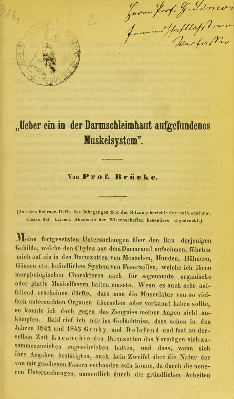 Muskelsystem. Von Prof. Brücke. (Ans dem Februar-Hefte des Jahrganges 1851 der Sitzungsberichte der inath.-naturw. Classe der kaiserl. Akademie der Wissenschaften besonders abgedruckt.) M eine fortgesetzten Untersuchungen über den Bau derjenigen Gebilde, welche den Chylus aus dem Darmcanal aufnehmen, führten mich auf ein in den Darmzotten von Menschen, Hunden, Hühnern, Gänsen ete. befindliches System von Faserzellen, welche ich ihren morphologischen Charakteren nach für sogenannte organische oder glatte Muskelfasern hallen musste. Wenn es auch sehr auf- fallend erscheinen dürfte, dass man die Musculatur von so viel- fach untersuchten Organen übersehen oder verkannt haben sollte, so konnte ich doch gegen das Zeugniss meiner Augen nicht an- kämpfen. Bald rief ich mir ins Gedächtniss, dass schon in den Jahren 1842 und 1843 Gruby und Delafond und fast zu der- selben Zeit Lacauchie den Darmzotten das Vermögen sich zu- sammenzuziehen zugeschrieben hatten, und dass, wenn sich ihre Angaben bestätigten, auch kein Zweifel über die Natur der von mir gesehenen Fasern vorhanden sein könne, da durch die neue- ren Untersuchungen, namentlich durch die gründlichen Arbeiten