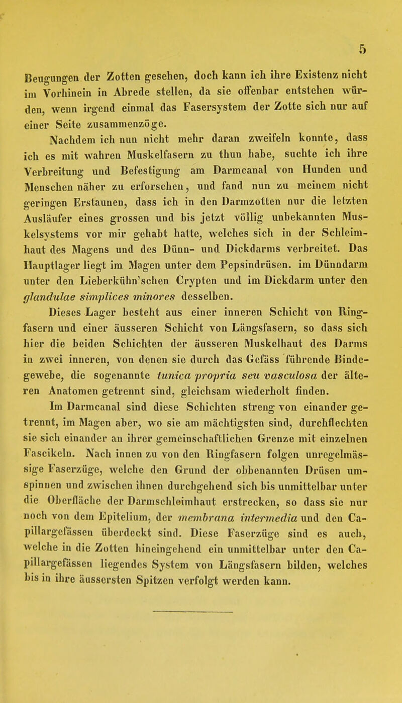 Beugungen der Zotten gesehen, doch kann ich ihre Existenz nicht im Vorhinein in Ahrede stellen, da sie offenbar entstehen wür- den, wenn irgend einmal das Fasersystem der Zotte sich nur auf einer Seite zusammenzöge. Nachdem ich nun nicht mehr daran zweifeln konnte, dass ich es mit wahren Muskelfasern zu thun habe, suchte ich ihre Verbreitung und Befestigung am Darmcanal von Hunden und Menschen näher zu erforschen, und fand nun zu meinem nicht geringen Erstaunen, dass ich in den Darmzotten nur die letzten Ausläufer eines grossen und bis jetzt völlig unbekannten Mus- kelsystems vor mir gehabt hatte, welches sich in der Schleim- haut des Mag-ens und des Dünn- und Dickdarms verbreitet. Das Hauptlager liegt im Magen unter dem Pepsindrüsen, im Dünndarm unter den Lieberkühn'schen Crypten und im Dickdarm unter den glandulae simplices minores desselben. Dieses Lager besteht aus einer inneren Schicht von Ring- fasern und einer äusseren Schicht von Längsfasern, so dass sich hier die beiden Schichten der äusseren Muskelhaut des Darms in zwei inneren, von denen sie durch das Gefäss führende Binde- gewebe, die sogenannte tunica proprio, seu vasculosa der älte- ren Anatomen getrennt sind, gleichsam wiederholt finden. Im Darmcanal sind diese Schichten streng von einander ge- trennt, im Magen aber, wo sie am mächtigsten sind, durchflechten sie sich einander an ihrer gemeinschaftlichen Grenze mit einzelnen Fascikeln. Nach innen zu von den Ringfasern folgen unregelmäs- sige Faserzüge, welche den Grund der obbenannten Drüsen um- spinnen und zwischen ihnen durchgehend sich bis unmittelbar unter die Oberfläche der Darmschleimhaut erstrecken, so dass sie nur noch von dem Epitelium, der membrana intermedia und den Ca- pillargefässen überdeckt sind. Diese Faserzüge sind es auch, welche in die Zotten hineingehend ein unmittelbar unter den Ca- pillargefässen liegendes System von Längsfasern bilden, welches bis in ihre äussersten Spitzen verfolgt werden kann.