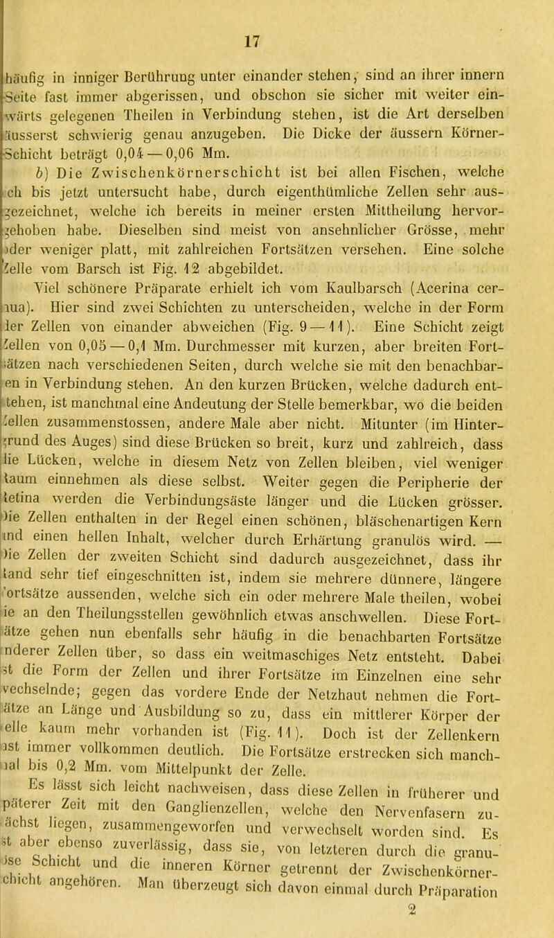 häufig in inniger Berührung unter einander stehen, sind an ihrer innern Seite fast immer abgerissen, und obschon sie sicher mit weiter ein- wärts gelegenen Theilen in Verbindung stehen, ist die Art derselben Büsserst schwierig genau anzugeben. Die Dicke der äussern Körner- Schicht beträgt 0,04 — 0,06 Mm. b) Die Zwischenkörnerschicht ist bei allen Fischen, welche ch bis jetzt untersucht habe, durch eigenthümliche Zellen sehr aus- gezeichnet, welche ich bereits in meiner ersten Mittheilung hervor- gehoben habe. Dieselben sind meist von ansehnlicher Grösse, mehr )der weniger platt, mit zahlreichen Fortsätzen versehen. Eine solche Seile vom Barsch ist Fig. 12 abgebildet. Viel schönere Präparate erhielt ich vom Kaulbarsch (Acerina cer- lua). Hier sind zwei Schichten zu unterscheiden, welche in der Form ler Zellen von einander abweichen (Fig. 9 — 11). Eine Schicht zeigt Sellen von 0,05 — 0,1 Mm. Durchmesser mit kurzen, aber breiten Forl- iätzen nach verschiedenen Seiten, durch welche sie mit den beuachbar- en in Verbindung stehen. An den kurzen Brücken, welche dadurch ent- tehen, ist manchmal eine Andeutung der Stelle bemerkbar, wo die beiden 'eilen zusammenstossen, andere Male aber nicht. Mitunter (im Hinter- grund des Auges) sind diese Brücken so breit, kurz und zahlreich, dass lie Lücken, welche in diesem Netz von Zellen bleiben, viel weniger laum einnehmen als diese selbst. Weiter gegen die Peripherie der lelina werden die Verbindungsäste länger und die Lücken grösser. )ie Zellen enthalten in der Regel einen schönen, bläschenartigen Kern and einen hellen Inhalt, welcher durch Erhärtung granulös wird. — )ie Zellen der zweiten Schicht sind dadurch ausgezeichnet, dass ihr iand sehr tief eingeschnitten ist, indem sie mehrere dünnere, längere ''ortsätze aussenden, welche sich ein oder mehrere Male theilen, wobei ie an den Theilungsstellen gewöhnlich etwas anschwellen. Diese Fort- iätze gehen nun ebenfalls sehr häufig in die benachbarten Fortsätze nderer Zellen über, so dass ein weitmaschiges Netz entsteht. Dabei 3t die Form der Zellen und ihrer Fortsätze im Einzelnen eine sehr wechselnde; gegen das vordere Ende der Netzhaut nehmen die Fort- ätze an Länge und Ausbildung so zu, dass ein mittlerer Körper der 'eile kaum mehr vorhanden ist (Fig. 11). Doch ist der Zellenkern ust immer vollkommen deutlich. Die Forlsätze erstrecken sich manch- nal bis 0,2 Mm. vom Mittelpunkt der Zelle. Es lässt sich leicht nachweisen, dass diese Zellen in früherer und päterer Ze.t mit den Ganglienzellen, welche den Nervenfasern zu- gehst hegen, zusammengeworfen und verwechselt worden sind Es ! o J^*0 ^verlässig, dass sie, von letzteren durch die qranu- JSe Schicht und die inneren Körner gelrennt der Zwischenkörner- Ghicht angehören. Man überzeugt sich davon einmal durch Präparation 2