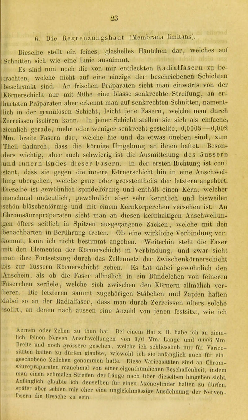 6. Die B^egrenzungshaüt (Membrana limilans). Dieselbe stellt ein feines, glasbelles Häutchen dar, welches auf Schnitten sieh wie eine Linie ausnimmt. Es sind nun noch die von mir entdeckten Radialfasern zu be- trachten, welche nicht auf eine einzige der beschriebenen Schichten beschrankt sind. An frischen Präparaten sieht man einwärts von der Körnerschicht nur mit Mühe eine blasse senkrechte Streifung, an er- härteten Präparaten aber erkennt man auf senkrechten Schnitten, nament- lich in der granulösen Schicht, leicht jene Fasern, welche man durch Zerreissen isoliren kann. In jener Schicht stellen sie sich als einfache, ziemlich gerade, mehr oder weniger senkrecht gestellte, 0,0005 — 0,002 Mm. breite Fasern dar, welche hie und da etwas uneben sind, zum Theil dadurch, dass die körnige Umgebung an ihnen haftet. Beson- ders wichtig, aber auch schwierig ist die Ausmittelung des äussern und innern Endes dieser Fasern. In der ersten Richtung ist con- stant, dass sie gegen die innere Körnerschicht hin in eine Anschwel- lung übergehen, welche ganz oder grösstentheils der letztern angehört. Dieselbe ist gewöhnlich spindelförmig und enthält einen Kern, welcher manchmal undeutlich, gewöhnlich aber sehr kenntlich und bisweilen schön bläschenförmig und mit einem Kernkörperchen versehen ist. An Chromsäurcpräparaten sieht man an diesen kernhaltigen Anschwellun- gen öfters seitlich in Spitzen ausgegangene Zacken, welche mit den benachbarten in Berührung treten. Ob eine wirkliche Verbindung vor- kommt, kann ich nicht bestimmt angeben. Weiterhin steht die Faser mit den Elementen der Körnerschicht in Verbindung, und zwar sieht man ihre Fortsetzung durch das Zellennetz der Zwischenkörnerschicht bis zur äussern Körnerschicht gehen. Es hat dabei gewöhnlich den Anschein, als ob die Faser allmälich in ein Bündelchen von feineren Fäserchen zerfiele, welche sich zwischen den Körnern allmälich ver- lieren. Die letzteren sammt zugehörigen Stäbchen und Zapfen haften :dabei so an der Radialfaser, dass man durch Zerreissen öfters solche isolirt, an denen nach aussen eine Anzahl von jenen festsitzt, wie ich Kernen oder Zellen zu thun hat. Bei einem Hai z. B. Labe ich an ziem- lich feinen Nerven Anschwellungen von 0,01 Mm. Lange und 0,006 Mm. Breite und noch grössere gesehen, welche ich schliesslich nur für Varico- sitäten halten zu dürfen glaubte, wiewohl ich sie anfanglich auch für ein- geschobene Zellchen genommen hatte. Diese Varicositalen sind an Chrom- 8äurepräp*räten manchmal von einer eigentümlichen Beschaflcnheit, indem man einen schmalen Streifen der Lange nach über dieselben hingehen sieht. Anfänglich glaubte ich denselben für einen Axencylinder halten zu dürfen später aber schien mir eher eine ungleichmassige Ausdehnung der Nerven- lascrn die Ursache zu sein.