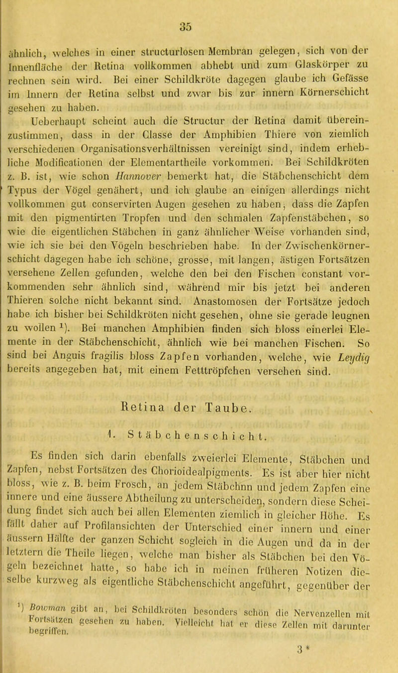 iihnlich, welches in einer structurlosen Membran gelegen, sich von der Innenfläche der Retina vollkommen abhebt und zum Glaskörper zu rechnen sein wird. Bei einer Schildkröte dagegen glaube ich Gefässe im Innern der Retina selbst und zwar bis zur innern Körnerschicht gesehen zu haben. Ueberhaupt scheint auch die Structur der Retina damit überein- zustimmen, dass in der Glasse der Amphibien Thiere von ziemlich verschiedenen Organisationsverhältnissen vereinigt sind, indem erheb- liche Modificationen der Elemenlartheile vorkommen. Bei Schildkröten z. B. ist, wie schon Hannover bemerkt hat, die Stäbchenschicht dem Typus der Vögel genähert, und ich glaube an einigen allerdings nicht vollkommen gut conservirten Augen gesehen zu haben, dass die Zapfen mit den pigmentirten Tropfen und den schmalen Zapfenstäbchen, so wie die eigentlichen Stäbchen in ganz ähnlicher Weise vorhanden sind, wie ich sie bei den Vögeln beschrieben habe. In der Zwischenkörner- schicht dagegen habe ich schöne, grosse, mit langen, ästigen Fortsätzen versehene Zellen gefunden, welche den bei den Fischen constant vor- kommenden sehr ähnlich sind, während mir bis jetzt bei anderen Thieren solche nicht bekannt sind. Anastomosen der Fortsätze jedoch habe ich bisher bei Schildkröten nicht gesehen, ohne sie gerade leugnen zu wollen x). Bei manchen Amphibien finden sich bloss einerlei Ele- mente in der Stäbchenschicht, ähnlich wie bei manchen Fischen. So sind bei Anguis fragilis bloss Zapfen vorhanden, welche, wie Leydig bereits angegeben hat, mit einem Fetttröpfchen versehen sind. Retina der Taube. 1. Stäbchenschicht. Es finden sich darin ebenfalls zweierlei Elemente, Stäbchen und Zapfen, nebst Fortsätzen des Chorioidealpigments. Es ist aber hier nicht bloss, wie z. B. beim Frosch, an jedem Stäbchnn und jedem Zapfen eine innere und eine äussere Abtheilung zu unterscheiden, sondern diese Schei- dung findet sich auch bei allen Elementen ziemlich in gleicher Höhe. Es fällt daher auf Profilansichten der Unterschied einer innern und einer äussern Hälfte der ganzen Schicht sogleich in die Augen und da in der letztem die Theile liegen, welche man bisher als Stäbchen bei den Vö- geln bezeichnet hatte, so habe ich in meinen früheren Notizen die- selbe kurzweg als eigentliche Släbchenschichl angeführt, gegenüber der ') Bownan gibt an, bei Schildkröten besonders schön die Nervenzellen mit Fortsätzen gesehen tt haben. Vielleichl hat er diese Zellen mit darunter negriltcn. 3*