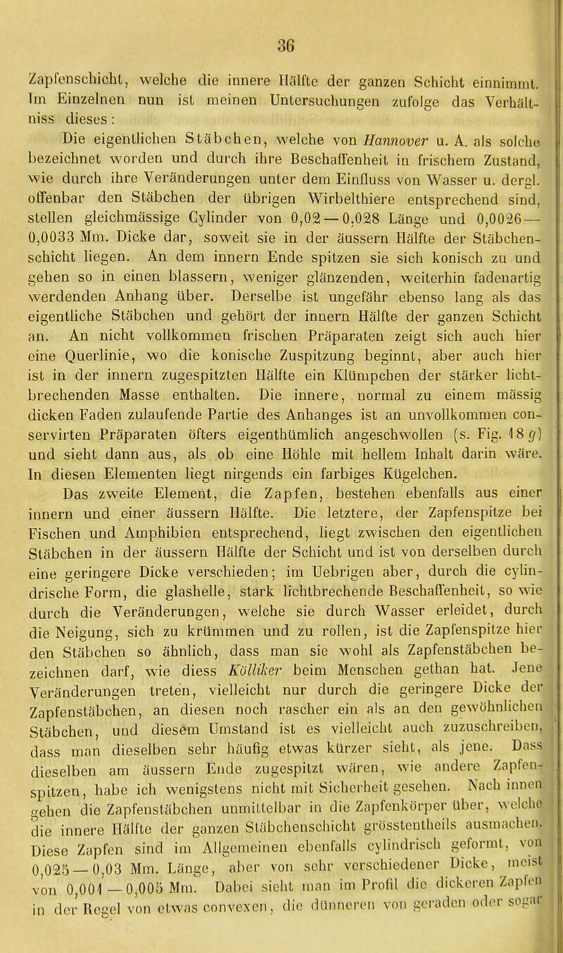 Zapfenschicht, welche die innere Hälfte der ganzen Schicht einnimmt. Im Einzelnen nun ist meinen Untersuchungen zufolge das Verhält- niss dieses: Die eigentlichen Stäbchen, welche von Hannover u. A. als solche I bezeichnet worden und durch ihre Beschaffenheit in frischem Zustand, wie durch ihre Veränderungen unter dem Einfluss von Wasser u. dergl. offenbar den Stäbchen der übrigen Wirbelthiere entsprechend sind, stellen gleichmässige Cylinder von 0,02 — 0.028 Länge und 0,0026 — 0,0033 Mm. Dicke dar, soweit sie in der äussern Hälfte der Stäbchen- schicht liegen. An dem innern Ende spitzen sie sich konisch zu und gehen so in einen blassern, weniger glänzenden, weiterhin fadeuartig werdenden Anhang über. Derselbe ist ungefähr ebenso lang als das eigentliche Stäbchen und gehört der innern Hälfte der ganzen Schicht an. An nicht vollkommen frischen Präparaten zeigt sich auch hier eine Querlinie, wo die konische Zuspitzung beginnt, aber auch hier ist in der innern zugespitzten Hälfte ein Klümpchen der stärker licht- brechenden Masse enthalten. Die innere, normal zu einem mässig dicken Faden zulaufende Partie des Anhanges ist an unvollkommen con- servirten Präparaten öfters eigenthümlich angeschwollen (s. Fig. 4 8 </) und sieht dann aus, als ob eine Höhle mit hellem Inhalt darin wäre. In diesen Elementen liegt nirgends ein farbiges Kügelchen. Das zweite Element, die Zapfen, bestehen ebenfalls aus einer innern und einer äussern Hälfte. Die letztere, der Zapfenspitze bei Fischen und Amphibien entsprechend, liegt zwischen den eigentlichen Stäbchen in der äussern Hälfte der Schicht und ist von derselben durch eine geringere Dicke verschieden; im Uebrigen aber, durch die cylin- drische Form, die glashelle, stark lichtbrechende Beschaffenheit, so wie durch die Veränderungen, welche sie durch Wasser erleidet, durch , die Neigung, sich zu krümmen und zu rollen, ist die Zapfenspitze hier den Stäbchen so ähnlich, dass man sie wohl als Zapfenstäbchen be-1 zeichnen darf, wie diess Külliker beim Menschen gethan hat. Jene Veränderungen treten, vielleicht nur durch die geringere Dicke der« Zapfenstäbchen, an diesen noch rascher ein als an den gewöhnlichen | Stäbchen, und diesem Umstand ist es vielleicht auch zuzuschreiben, dass man dieselben sehr häufig etwas kürzer sieht, als jene. Dass dieselben am äussern Ende zugespitzt wären, wie andere Zapfen- j spitzen, habe ich wenigstens nicht mit Sicherheit gesehen. Nach innen gehen die Zapfenstäbchen unmittelbar in die Zapfenkörper über, welche die innere Hälfte der ganzen Stäbchenschicht grösstenteils ausmachen. Diese Zapfen sind im Allgemeinen ebenfalls cylindrisch geformt, von J 0,025 — 0,03 Mm. Länge, aber von sehr verschiedener Dicke, meist von 0,001 —0,005 Mim Dabei sieht man im Profil die dickeren Zapfen . in der Bcgel von etwas convexen, die dünneren von geraden oder sogar