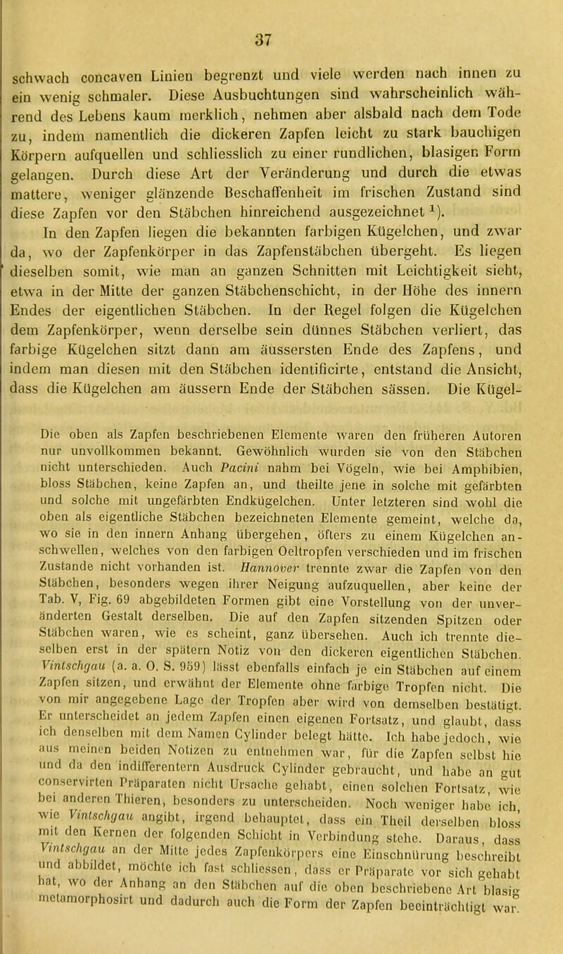 schwach concaven Linien begrenzt und viele werden nach innen zu ein wenig schmaler. Diese Ausbuchtungen sind wahrscheinlich wäh- rend des Lebens kaum merklich, nehmen aber alsbald nach dem Tode zu, indem namentlich die dickeren Zapfen leicht zu stark bauchigen Körpern aufquellen und schliesslich zu einer rundlichen, blasigen Form gelangen. Durch diese Art der Veränderung und durch die etwas mattere, weniger glänzende Beschaffenheit im frischen Zustand sind diese Zapfen vor den Stäbchen hinreichend ausgezeichnet1). In den Zapfen liegen die bekannten farbigen Kügelchen, und zwar da, wo der Zapfenkörper in das Zapfenstäbchen übergeht. Es liegen dieselben somit, wie man an ganzen Schnitten mit Leichtigkeit sieht, etwa in der Mitte der ganzen Stäbchenschicht, in der Höhe des innern Endes der eigentlichen Stäbchen. In der Regel folgen die Kügelchen dem Zapfenkörper, wenn derselbe sein dünnes Stäbchen verliert, das farbige Kügelchen sitzt dann am äussersten Ende des Zapfens, und indem man diesen mit den Stäbchen identificirte, entstand die Ansicht, dass die Kügelchen am äussern Ende der Stäbchen sässen. Die Kügel- Die oben als Zapfen beschriebenen Elemente waren den früheren Autoren nur unvollkommen bekannt. Gewöhnlich wurden sie von den Stäbchen nicht unterschieden. Auch Pacini nahm bei Vögeln, wie bei Amphibien, bloss Stäbchen, keine Zapfen an, und theilte jene in solche mit gefärbten und solche mit ungefärbten Endkügelchen. Unter letzteren sind wohl die oben als eigentliche Stäbchen bezeichneten Elemente gemeint, welche da, wo sie in den innern Anhang übergehen, öfters zu einem Kügelchen an- schwellen, welches von den farbigen Oeltropfen verschieden und im frischen Zustande nicht vorhanden ist. Hannover trennte zwar die Zapfen von den Stäbchen, besonders wegen ihrer Neigung aufzuquellen, aber keine der Tab. V, Fig. 69 abgebildeten Formen gibt eine Vorstellung von der unver- änderten Gestalt derselben. Die auf den Zapfen sitzenden Spitzen oder Stäbchen waren, wie es scheint, ganz übersehen. Auch ich trennte die- selben erst in der spätem Notiz von den dickeren eigentlichen Stäbchen. Vintschgau (a. a. 0. S. 959) lässt ebenfalls einfach je ein Stäbchen auf einem Zapfen sitzen, und erwähnt der Elemente ohne farbige Tropfen nicht. Die von mir angegebene Lage der Tropfen aber wird von demselben bestätigt. Er unterscheidet an jedem Zapfen einen eigenen Forlsatz, und glaubt, dass ich denselben mit dem Namen Cylinder belegt hätte. Ich habe jedoch', wie aus meinen beiden Notizen zu entnehmen war, für die Zapfen selbst hie und da den indifferentem Ausdruck Cylinder gebraucht, und habe an gut conservirten Träparaten nicht Ursache gehabt, einen solchen Fortsalz wie bei anderen Thieren, besonders zu unterscheiden. Noch weniger habe ich wie Vintschgau angibt, irgend behauptet, dass ein Theil derselben bloss mit den Kernen der folgenden Schicht in Verbindung stehc. Daraus, dass Vintschgau an der Milte jedes Zapfenkörpers eine Einschnürung beschreibt und abbildet, möchte ich fasl schlissen, dass er Präparate vor sich gehabt hat, wo der Anhang an den Stäbchen aiff die oben beschriebene Art blasi- mclamorphosirt und dadurch auch die Form der Zapfen beeinträchtigt war