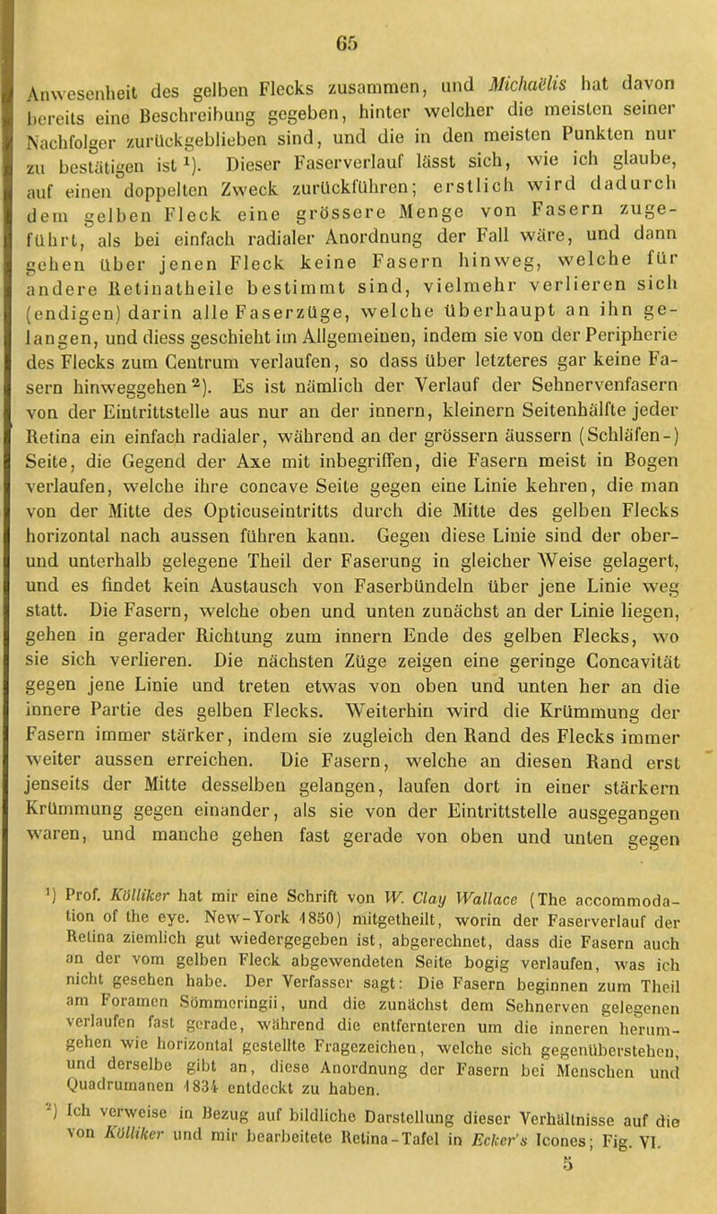 GS Anwesenheit des gelben Flecks zusammen, und Michails hat davon bereits eine Beschreibung gegeben, hinter welcher die meisten seiner Nachfolger zurückgeblieben sind, und die in den meisten Punkten nur zu bestätigen ist1). Dieser Faserverlauf lässt sich, wie ich glaube, auf einen doppelten Zweck zurückführen; erstlich wird dadurch dem gelben Fleck eine grössere Menge von Fasern zuge- führt, als bei einfach radialer Anordnung der Fall wäre, und dann gehen über jenen Fleck keine Fasern hinweg, welche für andere Retinalheile bestimmt sind, vielmehr verlieren sich (endigen) darin alle Faserzüge, welche überhaupt an ihn ge- langen, und diess geschieht im Allgemeinen, indem sie von der Peripherie des Flecks zum Centrum verlaufen, so dass über letzteres gar keine Fa- sern hinweggehen2). Es ist nämlich der Verlauf der Sehnervenfasern von der Eintrittstelle aus nur an der innern, kleinern Seitenhälfte jeder Retina ein einfach radialer, während an der grössern äussern (Schläfen-) Seite, die Gegend der Axe mit inbegriffen, die Fasern meist in Bogen verlaufen, welche ihre concave Seite gegen eine Linie kehren, die man von der Mitte des Opticuseintritts durch die Mitte des gelben Flecks horizontal nach aussen führen kann. Gegen diese Linie sind der ober- und unterhalb gelegene Theil der Faserung in gleicher Weise gelagert, und es findet kein Austausch von Faserbündeln über jene Linie weg statt. Die Fasern, welche oben und unten zunächst an der Linie liegen, gehen in gerader Richtung zum innern Ende des gelben Flecks, wo sie sich verlieren. Die nächsten Züge zeigen eine geringe Concavität gegen jene Linie und treten etwas von oben und unten her an die innere Partie des gelben Flecks. Weiterhin wird die Krümmung der Fasern immer stärker, indem sie zugleich den Rand des Flecks immer weiter aussen erreichen. Die Fasern, welche an diesen Rand erst jenseits der Mitte desselben gelangen, laufen dort in einer stärkern Krümmung gegen einander, als sie von der Eintrittstelle ausgegangen waren, und manche gehen fast gerade von oben und unten gegen >) Prof. Kölliker hat mir eine Schrift von W. Clay Wallace (The accommoda- tion of the eye. New-York 4 850) mitgetheilt, worin der Faserverlauf der Retina ziemlich gut wiedergegeben ist, abgerechnet, dass die Fasern auch an der vom gelben Fleck abgewendeten Seite bogig verlaufen, was ich nicht gesehen habe. Der Verfasser sagt: Die Fasern beginnen zum Theil am Foramen Sömmeringii, und die zunächst dem Sehnerven gelegenen verlaufen fast gerade, während die entfernleren um die inneren herum- gehen wie horizontal gestellte Fragezeichen, welche sich gegenüberstehen, und derselbe gibt an, diese Anordnung der Fasern bei Menschen und Quadrumancn 1834 entdeckt zu haben. l) Ich verweise in Bezug auf bildliche Darstellung dieser Verhallnisse auf die von Kölhker und mir bearbeitete Retina-Tafel in Eckels Icones; Fig. VI. 5