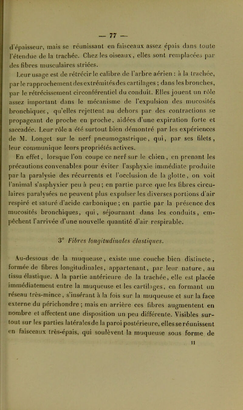 d'épaisseur, mais se réunissant en faisceaux assez épais clans toute fétendue de la trachée. Chez les oiseaux, elles sont remplacées par des fibres musculaires striées. Leur usage est de rétrécir le calibr e de l'arbre aérien : à la trachée, parle rapprochement des extrémités des cartilages ; dans les bronches, par le rétrécissement circonlérenlicl du conduit. Elles jouent un rôle assez important dans le mécanisme de l'expulsion des mucosités bronchiques, qu'elles rejettent au dehors par des contractions se propageant de proche en proche, aidées d'une expiration forte et saccadée. Leur rôle a été surtout bien démontré par les expériences de M. Longet sur le nerf pneumogastrique, qui, par ses filets, leur communique leurs propriétés actives. En effet, lorsque l'on coupe ce nerf sur le chien, en prenant les précautions convenables pour éviter l'asphyxie immédiate produite parla paralysie des récurrents et l'occlusion de la glotte, on voit l'animal s'asphyxier peu à peu; en partie parce que les fibres circu- laires paralysées ne peuvent plus expulser les diverses portions d'air respiré et saturé d'acide carbonique; en partie par la présence des mucosités bronchiques, qui, séjournant dans les conduits, em- pêchent l'arrivée d'une nouvelle quantité d'air respirable. 3° Fibres longitudinales élastiques. Au-dessous de la muqueuse, existe une couche bien distincte, formée de fibres longitudinales, appartenant, par leur nature, au tissu élastique. A la partie antérieure de la trachée, elle est placée immédiatement entre la muqueuse et les cartilages, en formant un réseau très-mince, s'insérant à la fois sur la muqueuse et sur la face externe du périchondre ; mais en arrière ces fibres augmentent en nombre et affectent une disposition un peu différente. Visibles sur- tout sur les parties latéralesde la paroi postérieure, elles se réunissent en faisceaux très-épais, qui soulèvent la muqueuse sous forme de n