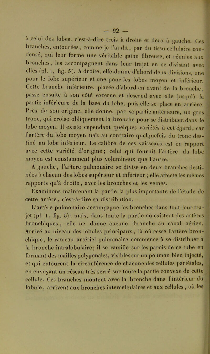 — <>2 — à.celui des lobes, c'est-à-dire trois à droile et deux à gauche. Ces branches, entourées, comme je l'ai dit, par du tissu cellulaire con- densé, qui leur forme une véritable gaine fibreuse, et réunies aux bronches, les accompagnent dans leur trajet en se divisant avec elles (pl. 1, lig. 5). A droile, elle donne d'abord deux divisions, une pour le lobe supérieur et une pour les lobes moyen et inférieur. Celle branche inférieure, placée d'abord en avant de la bronche, passe ensuite à son côlc externe et descend avec elle jusqu'à la partie inférieure de la base du lobe, puis elle se place en arrière. Près de son origine, elle donne, par sa partie antérieure, un gros tronc, qui croise obliquement la bronche pour se distribuer dans le lobe moyen. Il existe cependant quelques variétés à cet égard , car l'artère du lobe moyen naît au contraire quelquefois du tronc des- tiné au lobe inférieur. Le calibre de ces vaisseaux est en rapport avec cette variété d'origine; celui qui fournit Tarière du lobe moyen est constamment plus volumineux que l'autre. A gauche, Tarière pulmonaire se divise en deux branches desti- nées à chacun des lobes supérieur et inférieur; elle affecte les mêmes rapports qu'à droite, avec les bronches et les veines. Examinons maintenant la partie la plus importante de l'étude de cette artère, c'est-à-dire sa distribution. L'artère pulmonaire accompagne les bronches dans tout leur tra- jet (pl. I , fig. 5); mais, dans toute la partie où existent des artères bronchiques , elle ne donne aucune branche au canal aérien. Arrivé au niveau des lobules principaux , là où cesse Tarière bron- chique, le rameau artériel pulmonaire commence à se distribuera la bronche intralobulaire ; il se ramifie sur les parois de ce lube en formant des mailles polygonales, visibles sur un poumon bien injecté, et qui entourent la circonférence de chacune des cellules pariétales, en envoyant un réseau très-serré sur toute la partie convexe de cette cellule. Ces branches montent avec la bronche dans l'intérieur du lobule, arrivent aux bronches intercellulaires et aux cellules , où les