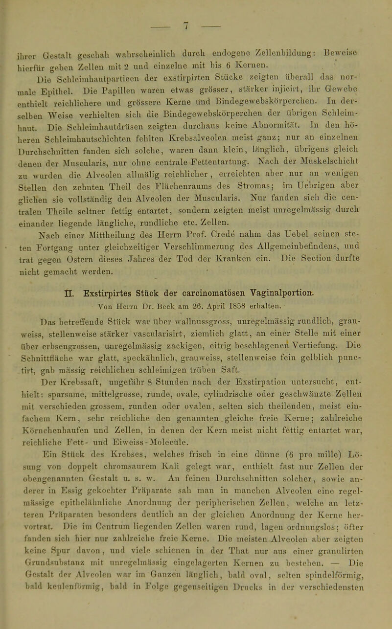 i ihrer Gestalt geschah wahrscheinlich durch endogene Zellcnhiklnng: Beweise hierfür geben Zellen mit 2 und einzelne mit bis 6 Kernen. Die Schleimhautpartieen der exstirpirten Stücke zeigten überall das nor- male Epithel. Die Papillen waren etwas grösser, stärker injicirt, ihr Gewebe enthielt reichlichere und grössere Kerne und Bindegewebskörperchen. In der- selben Weise verhielten sich die Bindegewebskörperchen der übrigen Schleim- haut. Die Sehleimhautdrüsen zeigten durchaus keine Abnormität. In den hö- heren Schleimhautschichten fehlten Krebsalveolen meist ganz; nur an einzelnen Durchschnitten fanden sich solche, waren dann klein, länglich, übrigens gleich denen der Muscularis, nur ohne centrale-Fettentartung. Nach der Muskelschicht zu wurden die Alveolen allmälig reichlicher , erreichten aber nur an wenigen Stellen den zehnten Theil des Flächenraums des Stromas; im Uebrigen aber o-lichen sie vollständig den Alveolen der Muscularis. Nur fanden sich die cen- tralen Theile seltner fettig entartet, sondern zeigten meist unregelmässig durch einander liegende längliche, rundliche etc. Zellen. Nach einer Mittheilung des Herrn Prof. Crede nahm das Uebel seinen ste- ten Fortgang unter gleichzeitiger Verschlimmerung des Allgemeinbefindens, und trat gegen Ostern dieses Jahres der Tod der Kranken ein. Die Section durfte nicht gemacht werden. II. Exstirpirtes Stück der carcinomatösen Vaginalportion. Von Herrn Dr. Beck am 26. April 1858 erhalten. Das betreffende Stück war über wallnussgross, unregelmässig rundlich, grau- weiss, stellenweise stärker vascularisirt, ziemlich glatt, an einer Stelle mit einer über erbsengrossen, unregelmässig zackigen, eitrig beschlagenen Vertiefung. Die Schnittfläche war glatt, speckähnlich, grauweiss, stellenweise fein gelblich punc- tirt, gab mässig reichlichen schleimigen trüben Saft. Der Krebssaft, ungefähr 8 Stunden nach der Exstirpation untersucht, ent- hielt: sparsame, mittelgrosse, runde, ovale, cylindriscbe oder geschwänzte Zellen mit verschieden grossem, runden oder ovalen, selten sich tbeilenden, meist ein- fachem Kern, sehr reichliche den genannten. gleiche freie Kerne; zahlreiche Körnchenhaufen und Zellen, in denen der Kern meist nicht fettig entartet war, reichliche Fett- und Eiweiss-Molecüle. Ein Stück des Krebses, welches frisch in eine dünne (6 pro mille) Lö- sung von doppelt chromsaurem Kali gelegt Avar, enthielt fast nur Zellen der obengenannten Gestalt u. s. w. An feinen Durchschnitten solcher, sowie an- derer in Essig gekochter Präparate sah man in manchen Alveolen eine regel- mässige epithelähnliche Anordnung der peripherischen Zellen, welche an letz- teren Präparaten besonders deutlich an der gleichen Anordnung der Kerne her- vortrat. Die im Centrum liegenden Zellen waren rund, lagen ordnungslos; öfter fanden sich hier nur zahlreiche freie Kerne. Die meisten Alveolen aber zeigten keine Spur davon, und viele schienen in der That nur aus einer granulirten Grundsubstanz mit unregclmässig eingelagerten Kernen zu bestehen. — Die Gestalt der Alveolen war im Ganzen länglich, bald oval, selten spindelförmig, bald keulenförmig, bald in Folge gegenseitigen Drucks in der verschiedensten