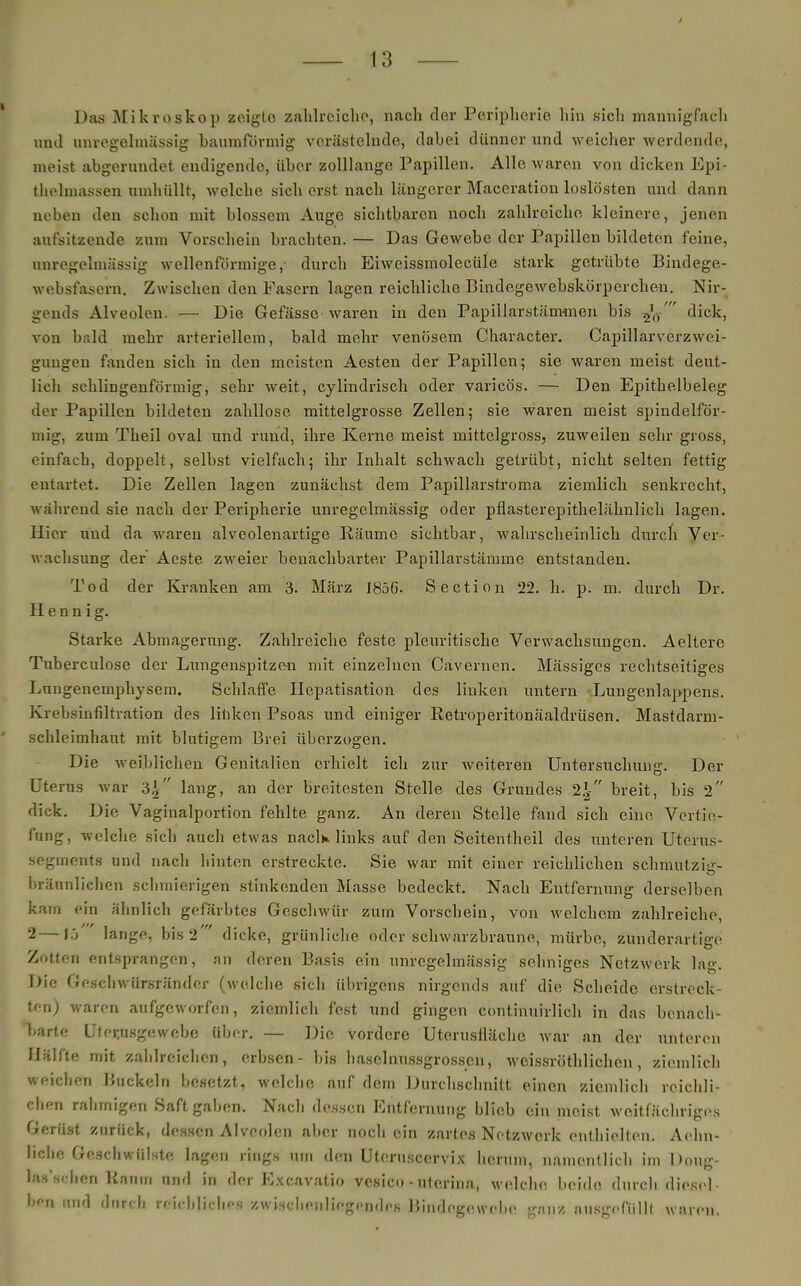 Das Mikroskop zeigto zahlreiche, nach der Peripherie hin sich mannigfach und unregelmässig baumfürmig verästelnde, dabei dünner und weicher werdende, meist abgerundet endigende, über zolllangc Papillen. Alle waren von dicken Epi- thelmassen umhüllt, welche sich erst nach längerer Maceration loslösten und dann neben den schon mit blossem Auge sichtbaren noch zahlreiche kleinere, jenen aufsitzende zum Vorschein brachten. — Das Gewebe der Papillen bildeten feine, nnregelmässig wellenförmige, durch Eiweissmolecüle stark getrübte Bindege- websfasern. Zwischen den Fasern lagen reichliche Bindegewebskörperchen. Nir- gends Alveolen. — Die Gefässc waren in den Papiliarstämmen bis ^'(T' dick, von bald mehr arteriellem, bald mehr venösem Character. Capillarvcrzwei- gungen fanden sich in den meisten Aesten der Papillen; sie waren meist deut- lich schlingenförmig, sehr weit, cylindrisch oder varicös. — Den Epithelbeleg der Papillen bildeten zahllose mittelgrosse Zellen; sie waren meist spindelför- mig, zum Theil oval und rund, ihre Kerne meist mittelgross, zuweilen sehr gross, einfach, doppelt, selbst vielfach; ihr Inhalt schwach getrübt, nicht selten fettig entartet. Die Zellen lagen zunächst dem Papillarstroma ziemlich senkrecht, während sie nach der Peripherie unregelmässig oder pflasterepithelähnlich lagen. Hier und da waren alveolenartige Räume sichtbar, wahrscheinlich durch Ver- wachsung der Aeste zweier benachbarter Papillarstämme entstanden. Tod der Kranken am 3. März 1856. Section 22. h. p. m. durch Dr. H e n n i g. Starke Abmagerung. Zahlreiche feste pleuritische Verwachsungen. Aeitere Tuberculose der Lungenspitzen mit einzelnen Cavernen. Mässigcs rechtzeitiges Lungenemphysem. Schlaffe Hepatisation des linken untern Lungenlappens. Krebsinfiltration des linken Psoas und einiger Retroperitonäaldrüsen. Mastdarni- schleimhaut mit blutigem Brei überzogen. Die weiblichen Genitalien erhielt ich zur weiteren Untersuchung. Der Uterus war 3* lang, an der breitesten Stelle des Grundes 2| breit, bis 2 dick. Die Vaginalportion fehlte ganz. An deren Stelle fand sich eine Vertie- fung, welche sich auch etwas nack links auf den Seitentheil des unteren Uterus- segments und nach hinten erstreckte. Sie war mit einer reichlichen schmutzte- bräunliclicn schmierigen stinkenden Masse bedeckt. Nach Entfernung derselben kam ein ähnlich gefärbtes Geschwür zum Vorschein, von welchem zahlreiche, 2—15 lange, bis 2' dicke, grünliche oder schwarzbraune, mürbe, zunderartige Zotten entsprangen, an deren Basis ein nnregelmässig sehniges Netzwerk lag. Die Gesellwiirsränder (welche sich übrigens nirgends auf die Scheide erstrock- ten) waren aufgeworfen, ziemlich fest und gingen continuirlich in das benach- barte Ufer.usgewebe über. — Die vordere Uterusflächc war an der unteren Hälfte mit zahlreichen, erbsen- bis haselnussgrossen, weissröthlichcn , ziemlich weichen Buckeln besetzt, welche auf dem Durchschnitt einen ziemlich reichli- chen rahmigen Saft gaben. Nach dessen Entfernung blieb ein meist weitfächriges Gerüst zurück, dessen Alveolen aber noch ein zartes Netzwerk enthielten. Aehn- liche Geschwülste lagen rings um den Uteruscervix herum, namentlich im Doug- las'schen Raum und in der Excavatio vesico - uterina, welche beide durch diesel- ben und durch mebliches zwischenliegendes Bindegewehe ganz ausgefüllt waren.