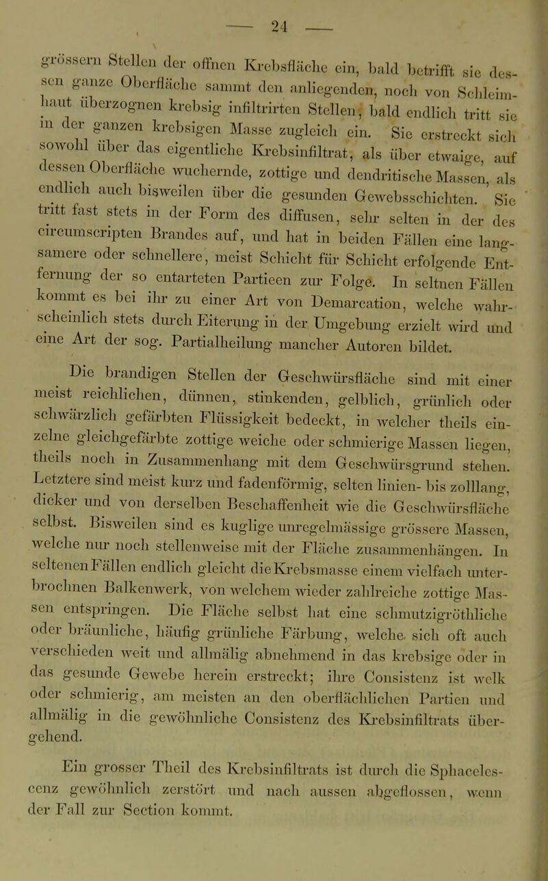 grösser Stellen der offne* Krebsfläche ein, bald l>. nüit sie de* sen ganze Oberfläche sammt den anliegenden, noch von Schleim- haut überzognen krebsig infiltrirten Stellen-, bald endlich tritt sie m der ganzen krebsigen Masse zugleich ein. Sie erstreckt sicli sowohl über das eigentliche Krebsinfiltrat; als über etwaige, auf dessen Überfläche wuchernde, zottige und dendritische Massen, als endheh auch bisweilen über die gesunden Gewebssohiehten. ffi, tritt fast stets in der Form des diffusen, sehr selten in der des circumscripten Brandes auf, und hat in beiden Fällen eine lang- saniere oder schnellere, meist Schicht für Schicht erfolgende Ent- fernung der so entarteten Partieen zur Folge. In seltnen Fälle n kommt es bei ihr zu einer Art von Demarcation, welche wahr- scheinlich stets durch Eiterung in der Umgebung erzielt wird und eine Art der sog. Partialheilung mancher Autoren bildet. Die brandigen Stellen der Geschwürsfläche sind mit einer meist reichlichen, dünnen, stinkenden, gelblich, grünlich oder schwärzlich gefärbten Flüssigkeit bedeckt, in welcher theils ein- zelne gleichgefärbte zottige weiche oder schmierige Massen liegen, theils noch in Zusammenhang mit dem Geschwürsgrund stehen Letztere sind meist kurz und fadenförmig, selten Hnien- bis zolllang, dicker und von derselben Beschaffenheit wie die Geschwürsfläche selbst. Bisweilen sind es kuglige unregelmässige grössere Massen, welche nur noch stellenweise mit der Fläche zusammenhängen. In seltenen Fällen endlich gleicht die Krebsmasse einem vielfach unter- brochnen Balkenwerk, von welchem wieder zahlreiche zottige Mas- sen entspringen. Die Fläche selbst hat eine schmutzigröthliclie oder bräunliche, häufig grünliche Färbimg, welche, sich oft auch verschieden weit und allmälig abnehmend in das krebsige oder in 'Ins gesunde Gewebe herein erstreckt; ihre Consistenz ist welk oder schmierig, am meisten an den oberflächlichen Partien und allmälig in die gewöhnliche Consistenz des Krebsinfilfoats über- gehend. Ein grosser Thcil des Krebsinfiltrats ist durch die Sphaceles- cenz gewöhnlich zerstört und nach aussen abgeflossen, wenn der Fall zur Section kommt.