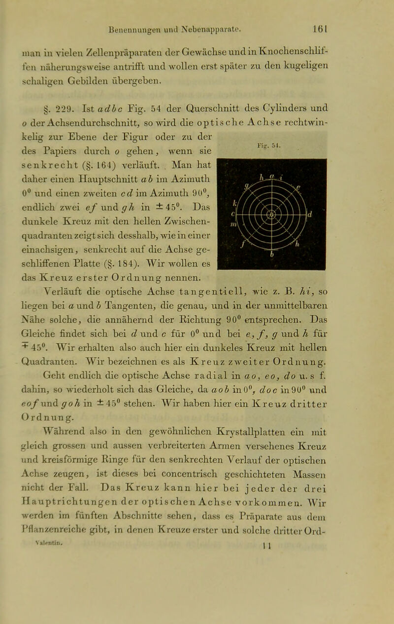 man in vielen Zellenpräparaten der Gewächse und in Knochenschlif- fen näherungsweise antrifft und wollen erst später zu den kugeligen schaligen Gebilden übergeben. 229. Ist adbc Fig. 54 der Querschnitt des Cylinders und o der Achsendurchschnitt, so wird die optische Achse rechtwin- kelig zur Ebene der Figur oder zu der des Papiers durch o gehen, wenn sie senkrecht (§. 164) verläuft. . Man hat I,'-^^fj^^^^^^'-x' daher einen Hauptschnitt a b im Aziinuth 0° und einen zweiten cd im Azimuth 90°, endlich zwei ef und gh in ±45°. Das dunkele Kreuz mit den hellen Zwischen- quadranten zeigt sich desshalb, wie in einer einachsigen, senkrecht auf die Achse ge- schliffenen Platte (§. 184). Wir wollen es das Kreuz erster Ordnung nennen. Verläuft die optische Achse taugent-ieil, wie z. B. hi, so liegen bei a und b Tangenten, die genau, und in der unmittelbaren Nähe solche, die annähernd der Richtung 90° entsprechen. Das Gleiche findet sich bei d und c für 0° und bei e, f, g und h für + 45°. Wir erhalten also auch hier ein dunkeles Kreuz mit hellen Quadranten. Wir bezeichnen es als Kreuz zweiter Ordnung. Geht endlich die optische Achse radial in ao, eo, do u. s f. dahin, so -wiederholt sich das Gleiche, da aob in0°, doc in9U° und nof und goh in ±45° stehen. Wir haben hier ein Kreuz dritter O rdnung. Während also in den gewöhnlichen Krystallplatten ein mit gleich grossen und aussen verbreiterten Annen versehenes Kreuz und kreisförmige Ringe für den senkrechten Verlauf der optischen Achse zeugen, ist dieses bei concentrisch geschichteten Massen nicht der Fall. Das Kreuz kann hier bei jeder der drei Hauptrichtungen der optischen Achse vorkommen. Wir werden im fünften Abschnitte sehen, dass es Präparate aus dem Pflanzenreiche gibt, in denen Kreuze erster und solche dritter Ord- Val«-ntin. i i