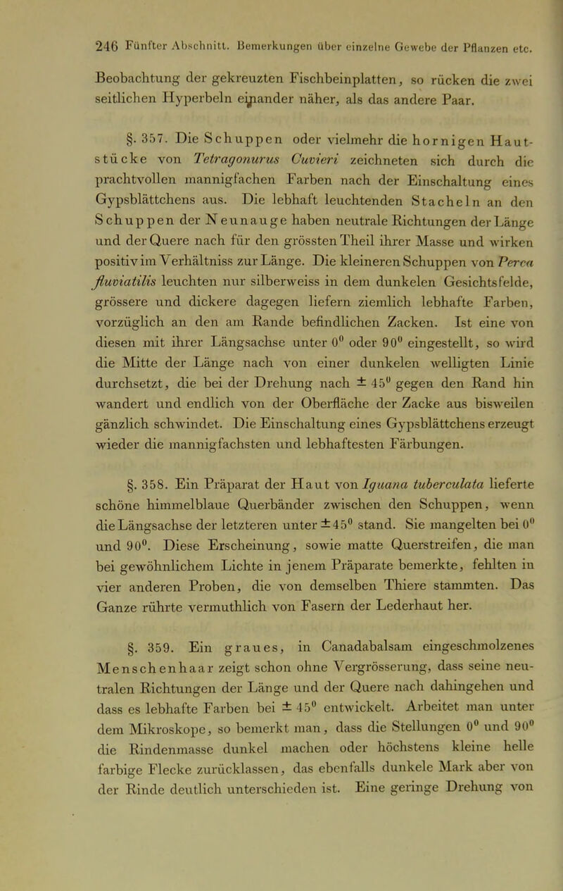 Beobachtung der gekreuzten Fischbeinplatten, so rücken die zwei seitlichen Hyperbeln eyiander näher, als das andere Paar. §. 357. Die Sch uppen oder vielmehr die hornigen Haut- stücke von Tetragonurus Guvieri zeichneten sich durch die prachtvollen mannigfachen Farben nach der Einschaltung eines Gypsblättchens aus. Die lebhaft leuchtenden Stacheln an den Schuppen der Neunauge haben neutrale Richtungen der Länge und der Quere nach für den grössten Theil ihrer Masse und wirken positiv im Verhältniss zur Länge. Die kleineren Schuppen von Perca fluviatilis leuchten nur silberweiss in dem dunkelen Gesichtsfelde, grössere und dickere dagegen liefern ziemlich lebhafte Farben, vorzüglich an den am Rande befindlichen Zacken. Ist eine von diesen mit ihrer Längsachse unter 0° oder 90° eingestellt, so wird die Mitte der Länge nach von einer dunkelen welligten Linie durchsetzt, die bei der Drehung nach ±45° gegen den Rand hin wandert und endlich von der Oberfläche der Zacke aus bisweilen gänzlich schwindet. Die Einschaltung eines Gypsblättchens erzeugt wieder die mannigfachsten und lebhaftesten Färbungen. §. 358. Ein Präparat der Haut von Iguana tuberculata lieferte schöne himmelblaue Querbänder zwischen den Schuppen, wenn die Längsachse der letzteren unter ±45° stand. Sie mangelten bei 0° und 90°. Diese Erscheinung, sowie matte Querstreifen, die man bei gewöhnlichem Lichte in jenem Präparate bemerkte, fehlten in vier anderen Proben, die von demselben Thiere stammten. Das Ganze rührte vermuthlich von Fasern der Lederhaut her. §. 359. Ein graues, in Canadabalsam eingeschmolzenes Menschenhaar zeigt schon ohne Vergrösserung, dass seine neu- tralen Richtungen der Länge und der Quere nach dahingehen und dass es lebhafte Farben bei ± 45° entwickelt. Arbeitet man unter dem Mikroskope, so bemerkt man, dass die Stellungen 0° und 90° die Rindenmasse dunkel machen oder höchstens kleine helle farbige Flecke zurücklassen, das ebenfalls dunkele Mark aber von der Rinde deutlich unterschieden ist. Eine geringe Drehung von