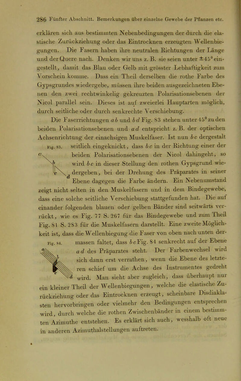 erklären sich aus bestimmten Nebenbedingungen der durch die ela- stische Zurückziehung oder das Eintrocknen erzeugten Wellenbie- gungen. Die Fasern haben ihre neutralen Richtungen der Länge und der Quere nach. Denken wir uns z. B. sie seien unter ±45° ein- gestellt, damit das Blau oder Gelb mit grösster Lebhaftigkeit zum Vorschein komme. Dass ein Theil derselben die rothe Farbe des Gypsgrundes wiedergebe, müssen ihre beiden ausgezeichneten Ebe- nen den zwei rechtwinkelig gekreuzten Polarisationsebenen der Nicol parallel sein. Dieses ist auf zweierlei Hauptarten möglich, durch seitliche oder durch senkrechte Verschiebung. Die Faserrichtungen a b und 5 (/Fig. 83 stehen unter 4 5° zu den beiden Polarisationsebenen und a d entspricht z. B. der optischen Achsenrichtung der einachsigen Muskelfaser. Ist nun b c dergestalt Fig. 83. seitlich eingeknickt, dass b c in der Richtung einer der beiden Polarisationsebenen der Nicol dahingeht, so wird b c in dieser Stellung den rothen Gypsgrund wie- K^ dergeben, bei der Drehung des Präparates in seiner Ebene dagegen die Farbe ändern. Ein Nebenumstand zeigt nicht selten in den Muskelfasern und in dem Bindegewebe, dass eine solche seitliche Verschiebung stattgefunden hat. Die auf einander folgenden blauen oder gelben Bänder sind seitwärts ver- rückt, wie es Fig. 77 S. 267 für das Bindegewebe und zum Theil Fk. 81 S. 283 für die Muskelfasern darstellt. Eine zweite Möglich- keit ist, dass die Wellenbiegung die Faser von oben nach unten der- Fi?. 84. massen faltet, dass Sc Fig. 84 senkrecht auf der Ebene ad des Präparates steht. Der Farbenwechsel wird sich dann erst verrathen, wenn die Ebene des letzte- ren schief um die Achse des Instrumentes gedreht ^ wird. Man sieht aber zugleich, dass überhaupt nur ein kleiner Theil der Wellenbiegungen, welche die elastische Zu- rückziehung oder das Eintrocknen erzeugt, scheinbare Disdiakla- sten hervorbringen oder vielmehr den Bedingungen entsprechen wird, durch welche die rothen Zwischenbänder in einem bestimm- ten Azimuthe entstehen. Es erklärt sich auch, wesshalb oft neue in anderen Azimuthalsteilungen auftreten.