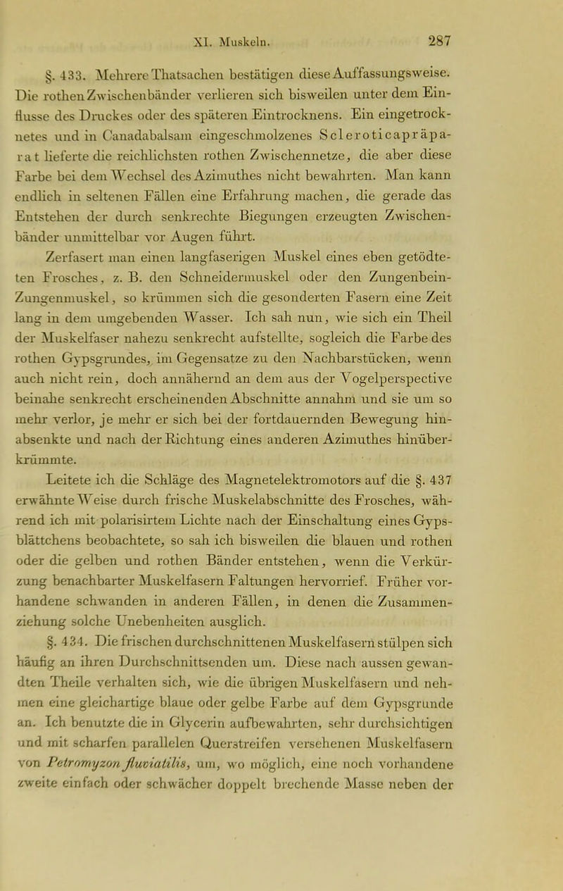 §. 433. Mehrere Thatsachen bestätigen diese Auffassungsweise. Die rothen Zwischenhandel- verlieren sich bisweilen unter dem Ein- flüsse des Druckes oder des späteren Eintrocknens. Ein eingetrock- netes und in Canadabalsam eingeschmolzenes Scleroticapräpa- rat lieferte die reichlichsten rothen Zwischennetze, die aber diese Farbe bei dem Wechsel des Azimuthes nicht bewahrten. Man kann endlich in seltenen Fällen eine Erfahrung machen, die gerade das Entstehen der durch senkrechte Biegungen erzeugten Zwischen- bänder unmittelbar vor Augen führt. Zerfasert man einen langfaserigen Muskel eines eben geteste- ten Frosches , z. B. den Schneidermuskel oder den Zungenbein- Zungenmuskel, so krümmen sich die gesonderten Fasern eine Zeit lang in dem umgebenden Wasser. Ich sah nun, wie sich ein Theil der Muskelfaser nahezu senkrecht aufstellte, sogleich die Farbe des rothen Gypsgrundes, im Gegensatze zu den Nachbarstücken, wenn auch nicht rein, doch annähernd an dem aus der Vogelperspective beinahe senkrecht erscheinenden Abschnitte annahm und sie um so mehr verlor, je mehr er sich bei der fortdauernden Bewegung hin- absenkte und nach der Richtung eines anderen Azimuthes hinüber- krümmte. Leitete ich die Schläge des Magnetelektromotors auf die §.437 erwähnte Weise durch frische Muskelabschnitte des Frosches, wäh- rend ich mit polarisirtem Lichte nach der Einschaltung eines Gyps- blättchens beobachtete, so sah ich bisweilen die blauen und rothen oder die gelben und rothen Bänder entstehen, wenn die Verkür- zung benachbarter Muskelfasern Faltungen hervorrief. Früher vor- handene schwanden in anderen Fällen, in denen die Zusammen- ziehung solche Unebenheiten ausglich. §. 434. Die frischen durchschnittenen Muskelfasern stülpen sich häufig an ihren Durchschnittsenden um. Diese nach aussen gewan- dten Theile verhalten sich, wie die übrigen Muskelfasern und neh- men eine gleichartige blaue oder gelbe Farbe auf dem Gypsgrunde an. Ich benutzte die in Glycerin aufbewahrten, sehr durchsichtigen und mit scharfen parallelen Querstreifen versehenen Muskelfasern von Petromyzonßuviatilis, um, wo möglich, eine noch vorhandene zweite einfach oder schwächer doppelt brechende Masse neben der