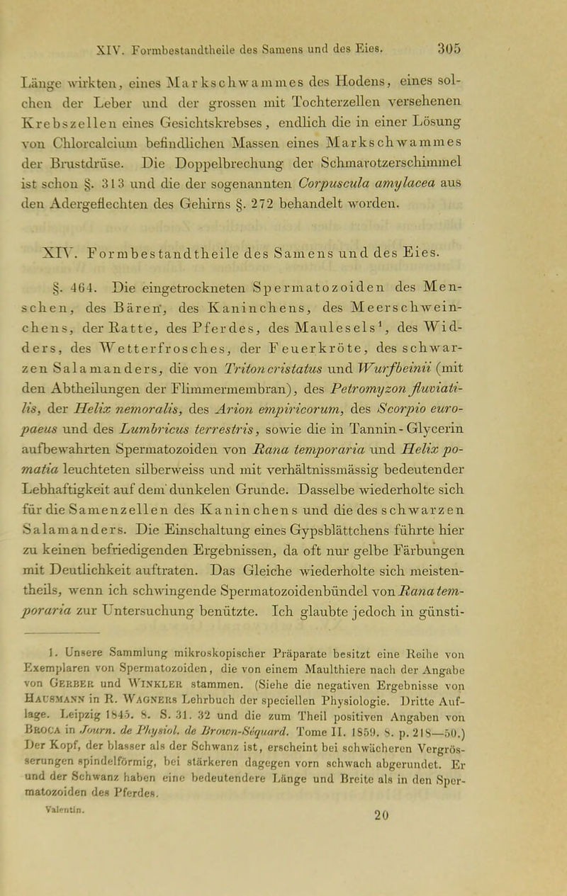 Länge wirkten, eines Markschwammes des Hodens, eines sol- chen der Leber und der grossen mit Tochterzellen versehenen Krebszellen eines Gesichtskrebses, endlich die in einer Lösung von Chlorcalciuin befindlichen Massen eines Markschwammes der Brustdrüse. Die Doppelbrechung der Schmarotzerschimmel ist schon £.313 und die der sogenannten Corpuscula amylacea aus den Adergeflechten des Gehirns §.272 behandelt worden. XIV. Formbestandtheile des Samens und des Eies. §. 464. Die eingetrockneten Spermatozoiden des Men- schen, des Bären', des Kaninchens, des Meerschwein- chens, der Ratte, des Pferdes, des Maulesels1, des Wid- ders, des Wetterfrosches, der Feuerkröte, des schwar- zen Salamanders, die von Tritoncristatus und Wxirfbeinii (mit den Abtheilungen der Flimmermembran), des Petromyzon ßuviati- lis, der Helix nemoralis, des Arion empiricorum, des Scorpio euro- paeus und des Lumbricus terrestris, sowie die in Tannin- Glycerin aufbewahrten Spermatozoiden von Rana temporaria und Helix po- matia leuchteten silberweiss und mit Verhältnissmässig bedeutender Lebhaftigkeit auf dem' dunkelen Grunde. Dasselbe wiederholte sich für die Samenzellen des Kaninchens und die des schwarzen Salamanders. Die Einschaltung eines Gypsblättchens führte hier zu keinen befriedigenden Ergebnissen, da oft nur gelbe Färbungen mit Deutlichkeit auftraten. Das Gleiche wiederholte sich meisten- theils, wenn ich schwingende Spermatozoidenbündel von Ra?ia tem- poraria zur Untersuchung benützte. Ich glaubte jedoch in günsti- 1. Unsere Sammlung mikroskopischer Präparate besitzt eine Reihe von Exemplaren von Spermatozoiden, die von einem Maulthiere nach der Angabe von Gerber und Winkler stammen. (Siehe die negativen Ergebnisse von Hausmann- in R. Wagners Lehrbuch der speciellen Physiologie. Dritte Auf- lage. Leipzig \H4o. 8. S. 31. 32 und die zum Theil positiven Angaben von Broca in Jonrn. de Fhysiol, de Brown-Sequard. Tome IL 1859. S. p. 2IS—50.) JJer Kopf, der blasser als der Schwanz ist, erscheint bei schwächeren Vergros- serungen spindelförmig, bei stärkeren dagegen vorn schwach abgerundet. Er und der Schwanz haben eine bedeutendere Länge und Breite als in den Sper- matozoiden des Pferdes. Valentin. OA