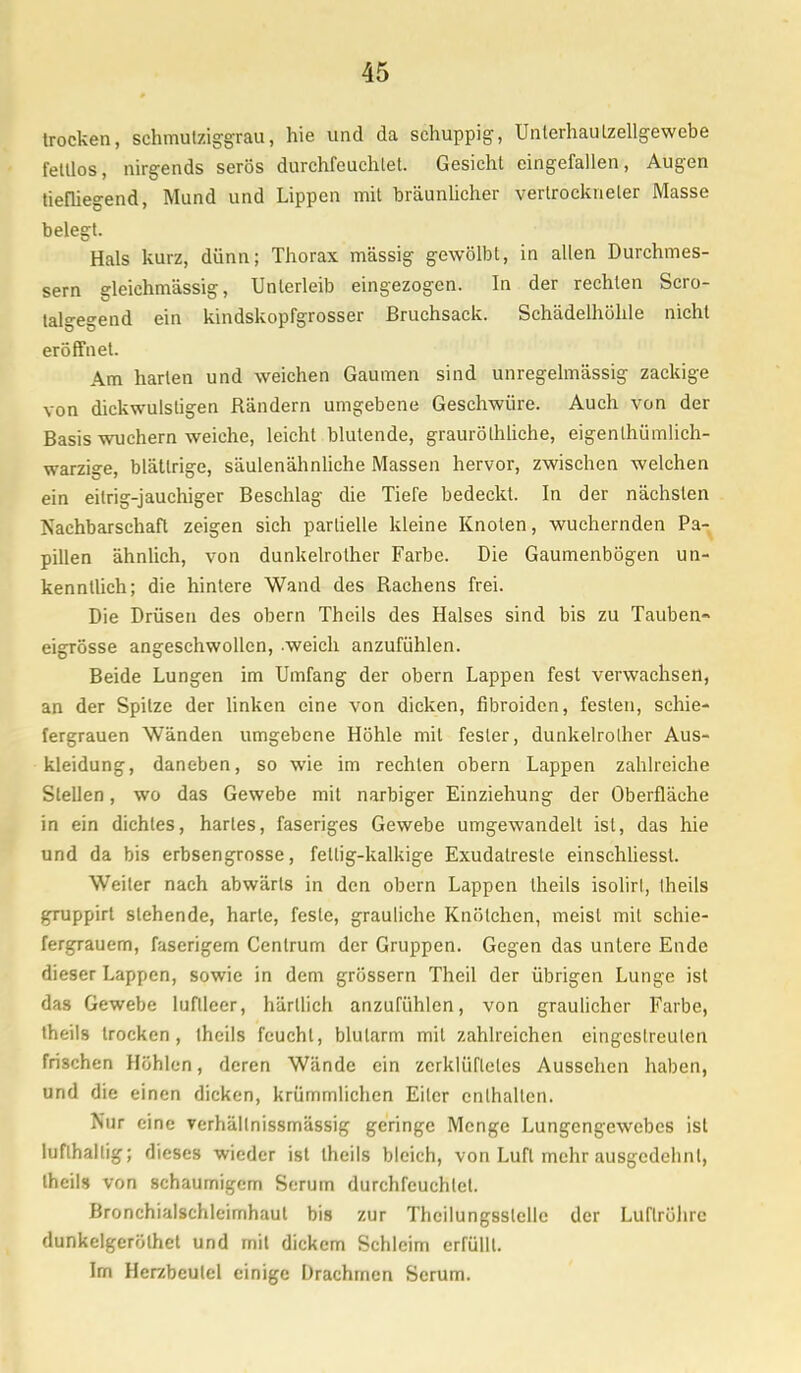 trocken, schmutziggrau, hie und da schuppig, Unterhau tzellgewebe fettlos, nirgends serös durchfeuchtet. Gesicht eingefallen, Augen tiefliegend, Mund und Lippen mit bräunlicher vertrockneter Masse belegt. Hals kurz, dünn; Thorax massig gewölbt, in allen Durchmes- sern gleichmässig, Unterleib eingezogen. In der rechten Scro- talgegend ein kindskopfgrosser Bruchsack. Schädelhöhle nicht eröffnet. Am harten und weichen Gaumen sind unregelmässig zackige von dickwulstigen Rändern umgebene Geschwüre. Auch von der Basis wuchern weiche, leicht blutende, grauröthliche, eigenthümlich- warzige, blättrige, säulenähnliche Massen hervor, zwischen welchen ein eitrig-jauchiger Beschlag che Tiere bedeckt. In der nächsten Kachbarschaft zeigen sich partielle kleine Knoten, wuchernden Pa- pillen ähnlich, von dunkelrolher Farbe. Die Gaumenbögen un- kenntlich; die hintere Wand des Rachens frei. Die Drüsen des obern Theils des Halses sind bis zu Tauben- eigrösse angeschwollen, -weich anzufühlen. Beide Lungen im Umfang der obern Lappen fest verwachsen, an der Spitze der linken eine von dicken, fibroiden, festen, schie- fergrauen Wänden umgebene Höhle mit fesler, dunkelrolher Aus- kleidung, daneben, so wie im rechten obern Lappen zahlreiche Stellen, wo das Gewebe mit narbiger Einziehung der Oberfläche in ein dichtes, hartes, faseriges Gewebe umgewandelt ist, das hie und da bis erbsengrosse, fellig-kalkige Exudatreste einschliessl. Weiter nach abwärts in den obern Lappen theils isolirl, theils gruppirt siehende, harte, feste, grauliche Knötchen, meisl mil schie- fergrauem, faserigem Cenlrum der Gruppen. Gegen das unlere Ende dieser Lappen, sowie in dem grössern Theil der übrigen Lunge ist das Gewebe luftleer, härllich anzufühlen, von graulicher Farbe, theils trocken, iheils feucht, blutarm mil zahlreichen eingestreuten frischen Höhlen, deren Wände ein zerklüftetes Aussehen haben, und die einen dicken, krümmlichen Eiler enthalten. Nur eine verhällnissmässig geringe Menge Lungengewebes ist lufthaltig; dieses wieder ist theils bleich, von Luft mehr ausgedehnt, theils von schaumigem Serum durchfeuchtet. Bronchialschleimhaul bis zur Thcilungsslcllc der Luftröhre dunkelgerölhet und mit dickem Schleim erfüllt. Im Herzbeutel einige Drachmen Serum.