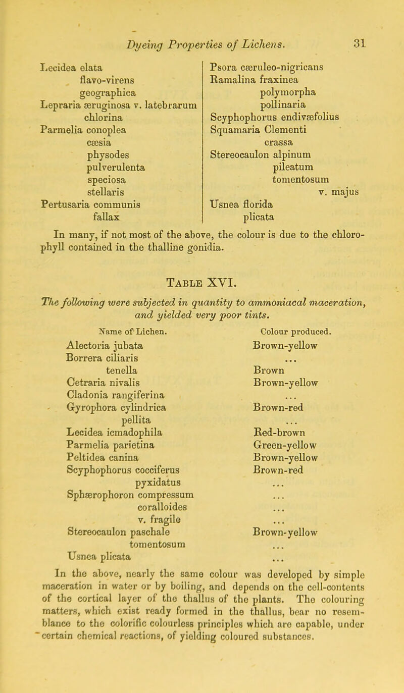 Lecidea olata flavo-virens geographica Lepraria aeruginosa v. latebrarum chlorina Parmelia conoplea caesia physodes pulverulenta speciosa stellaris Pertusaria communis fallax Psora caeruleo-nigricans Ramalina fraxinea polymorpha pollinaria Scyphophorus endivsefolius Squamaria Clementi crassa Stereocaulon alpinum pileatum tomentosum Usnea florida plicata v. majus In many, if not most of the above, the colour is due to the chloro- phyll contained in the thalline gonidia. Table XVI. The following were subjected in quantity to ammoniacal maceration, and yielded very poor tints. Colour produced. Brown-yellow Brown Brown-yellow Brown-red Bed-brown Green-yellow Brown-yellow Brown-red Name of Lichen. Alectoria jubata Borrera ciliaris tenella Cetraria nivalis Cladonia rangiferina Gyrophora cylindrica pellita Lecidea icmadophila Parmelia parietina Peltidea canina Scyphophorus cocciferus pyxidatus Sphaerophoron compressum coralloides v. fragile Stereocaulon paschale tomentosum Usnea plicata In the above, nearly the same colour was developed by simple maceration in water or by boiling, and depends on the cell-contents of the cortical layer of the thallns of the plants. The colouring matters, which exist ready formed in the thallus, bear no resem- blance to the colorific colourless principles which are capablo, under certain chemical reactions, of yielding coloured substances. Brown-yellow