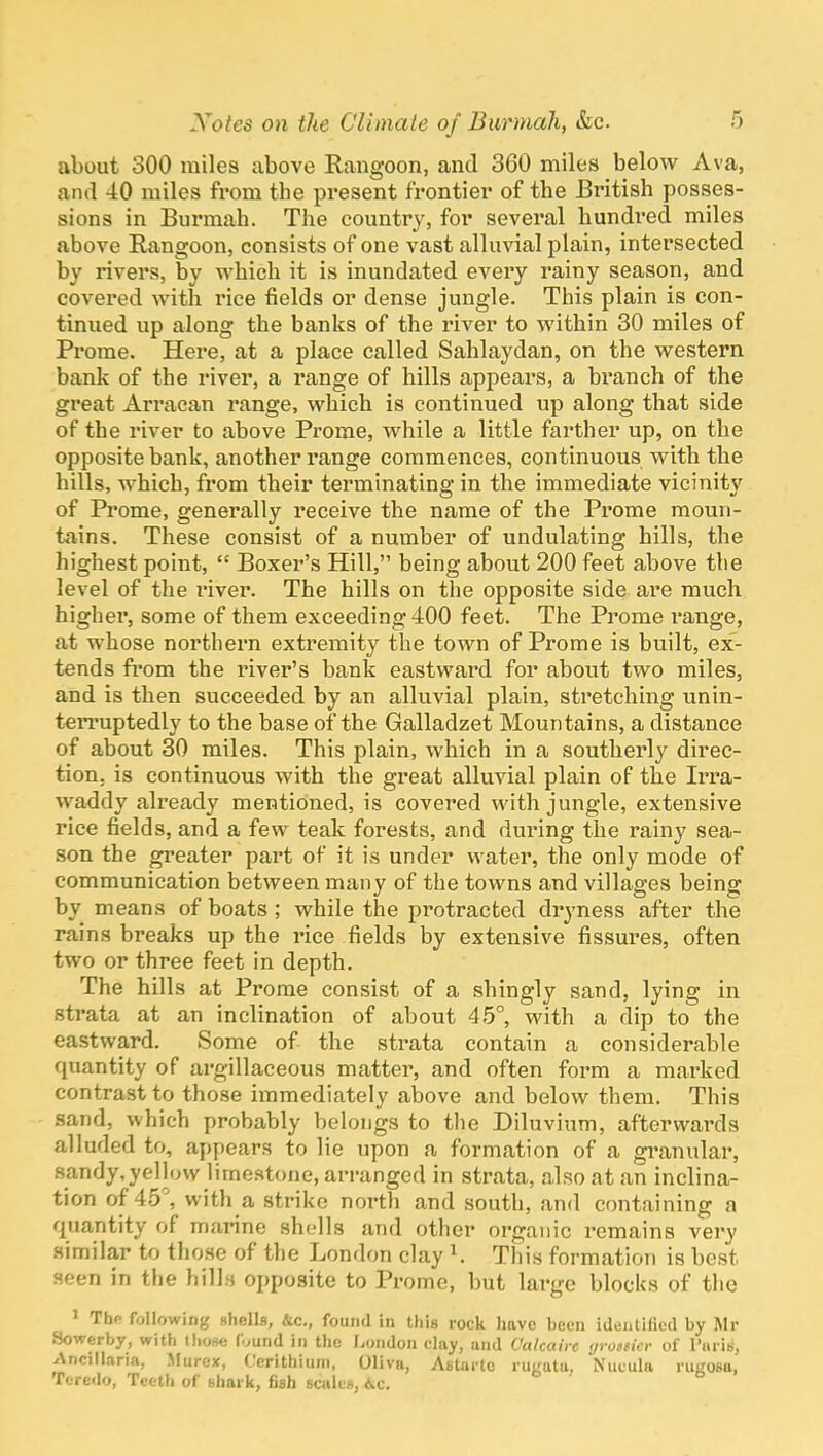 about 300 miles above Rangoon, and 360 miles below Ava, and 40 miles from the present frontier of the British posses- sions in Burmah. The country, foi* several hundred miles above Rangoon, consists of one vast alluvial plain, intersected by rivers, by which it is inundated every rainy season, and covered with rice fields or dense jungle. This plain is con- tinued up along the banks of the river to within 30 miles of Prome. Here, at a place called Sahlaydan, on the western bank of the river, a range of hills appears, a branch of the great Arracan range, which is continued up along that side of the river to above Prome, while a little farther up, on the opposite bank, another range commences, continuous with the hills, which, from their terminating in the immediate vicinity of Prome, generally receive the name of the Prome moun- tains. These consist of a number of undulating hills, the highest point,  Boxer's Hill, being about 200 feet above the level of the river. The hills on the opposite side are much higher, some of them exceeding 400 feet. The Prome range, at whose northern extremity the town of Prome is built, ex- tends fi'om the river's bank eastward for about two miles, and is then succeeded by an alluvial plain, stretching unin- terruptedly to the base of the Galladzet Mountains, a distance of about 30 miles. This plain, which in a southerly direc- tion, is continuous with the great alluvial plain of the Irra- waddy already mentioned, is covered with jungle, extensive rice fields, and a few teak forests, and during the rainy sea- son the greater part of it is under water, the only mode of communication between many of the towns and villages being by means of boats ; while the protracted dryness after the rains breaks up the rice fields by extensive fissures, often two or three feet in depth. The hills at Prome consist of a shingly sand, lying in strata at an inclination of about 45°, with a dip to the eastward. Some of the strata contain a considerable quantity of argillaceous matter, and often form a marked contrast to those immediately alDOve and below them. This sand, which probably belongs to the Diluvium, afterwards alluded to, appears to lie upon a formation of a gi'anular, sandy,yellow limestone, arranged in strata, also at an inclina- tion of 45, with a strike north and south, and containing a quantity of marine shells and other organic remains very .similar to those of the London clay K Tliis formation is best seen in the hill.s opposite to Prome, but large blocks of the 1 The. following Bhellfl, &c., found in this rock have been identified by Mr Sowerby, with lliose f.^und in the liondon clay, and Calcaire yro/sicr of riiris, Ancillaria, Miirex, Ccrithiiini, Oliva, Astuile ruguta, Nueula rugosu, Teredo, Teeth of Bhark, figh scakg, &c.