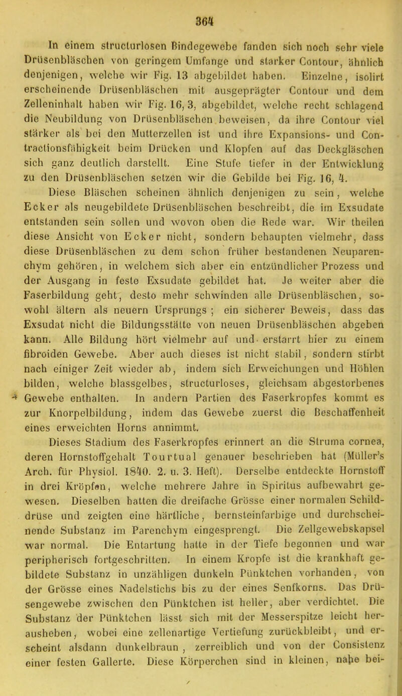 36« In einem structurlosen Bindegewebe fanden sich noch sehr viele Drüsenbläschen von geringem Umfange und starker Contour, ahnlich denjenigen, welche wir Fig. 13 abgebildet haben. Einzelne, isolirt erscheinende Drüsenbläschen mit ausgeprägter Contour und dem Zelleninhalt haben wir Fig. 16, 3, abgebildet, welche recht schlagend die Neubildung von Drüsenbliischen beweisen, da ihre Contour viel stiirker als bei den Mutterzellen ist und ihre Expansions- und Con- traclionsfiihigkeit beim Drücken und Klopfen auf das Deckgläschen sich ganz deutlich darstellt. Eine Stufe tiefer in der Entwicklung zu den Drusenbläschen setzen wir die Gebilde bei Fig. 16, «. Diese Bläschen scheinen ähnlich denjenigen zu sein, welche Ecker als neugebildete Drüsenbläschen beschreibt, die im Exsudate entstanden sein sollen und wovon oben die Rede war. Wir theilen diese Ansicht von Ecker nicht, sondern behaupten vielmehr, dass diese Drüsenblaschen zu dem schon früher bestandenen Neuparen- chym gehören, in welchem sich aber ein entzündlicher Prozess und der Ausgang in feste Exsudate gebildet hat. Je weiter aber die Faserbildung geht, desto mehr schwinden alle Drüsenbläschen, so- wohl ältern als neuern Ursprungs ; ein sicherer Beweis, dass das Exsudat nicht die Bildungsstätte von neuen Drüsenbläschen abgeben kann. Alle Bildung hört vielmehr auf und - erstarrt hier zu einem fibroiden Gewebe. Aber auch dieses ist nicht slabil, sondern stirbt nach einiger Zeit wieder ab, indem sich Erweichungen und Höhlen bilden, welche blassgelbes, structurloses, gleichsam abgestorbenes Gewebe enthalten. In andern Partien des Faserkropfes kommt es zur Knorpelbildung, indem das Gewebe zuerst die Beschaffenheit eines erweichten Horns annimmt. Dieses Stadium des Faserkropfes erinnert an die Struma cornea, deren Hornstoffgehalt Tourtual genauer beschrieben hat (Muller's Arch. für Physiol. 1840. 2. u. 3. Heft). Derselbe entdeckte Hornstoff in drei Kröpfen, welche mehrere Jahre in Spiritus aufbewahrt ge- wesen. Dieselben hatten die dreifache Grösse einer normalen Schild- drüse und zeigten eine härtliche, bernsteinfarbige und durchschei- nende Substanz im Parenchym eingesprengt. Die Zellgewebskapsel war normal. Die Entartung halte in der Tiefe begonnen und war peripherisch fortgeschritten. In einem Kröpfe ist die krankhaft ge- bildete Substanz in unzähligen dunkeln Pünktchen vorhanden, von der Grösse eines Nadelstichs bis zu der eines Senfkorns. Das Drü- sengewebe zwischen den Pünktchen ist heller, aber verdichtet. Die Substanz der Pünktchen lässt sich mit der Messerspitze leicht her- ausheben, wobei eine zcllenartige Vertiefung zurückbleibt, und er- scheint alsdann dunkelbraun , zerreiblich und von der Consistenz einer festen Gallerte. Diese Körperchen sind in kleinen, nahe bei-