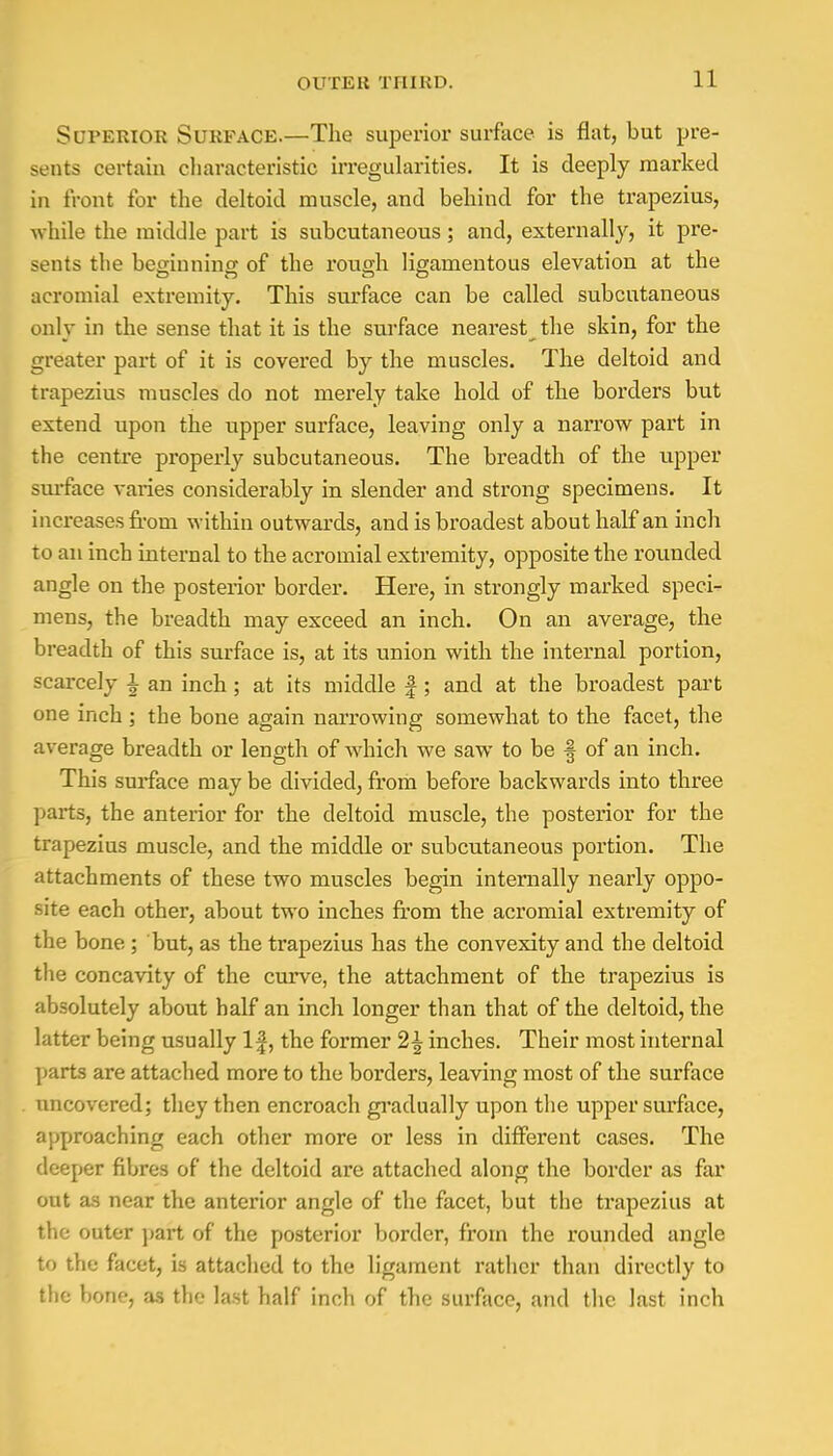Superior Surface.—The superior surface is flat, but pre- sents certain characteristic irregularities. It is deeply marked in front for the deltoid muscle, and behind for the trapezius, while the middle part is subcutaneous; and, externally, it pre- sents the beginning of the rough ligamentous elevation at the acromial extremity. This surface can be called subcutaneous only in the sense that it is the surface nearest^ the skin, for the greater part of it is covered by the muscles. The deltoid and trapezius muscles do not merely take hold of the borders but extend upon the upper surface, leaving only a narrow part in the centre properly subcutaneous. The breadth of the upper surface varies considerably in slender and strong specimens. It increases from within outwards, and is broadest about half an inch to an inch internal to the acromial extremity, opposite the rounded angle on the posterior border. Here, in strongly marked speci- mens, the breadth may exceed an inch. On an average, the breadth of this surface is, at its union with the internal portion, scarcely \ an inch; at its middle f; and at the broadest part one inch ; the bone again narrowing somewhat to the facet, the average breadth or length of which we saw to be § of an inch. This surface may be divided, from before backwards into three parts, the anterior for the deltoid muscle, the posterior for the trapezius muscle, and the middle or subcutaneous portion. The attachments of these two muscles begin internally nearly oppo- site each other, about two inches from the acromial extremity of the bone ; but, as the trapezius has the convexity and the deltoid the concavity of the curve, the attachment of the trapezius is absolutely about half an inch longer than that of the deltoid, the latter being usually If, the former 2£ inches. Their most internal parts are attached more to the borders, leaving most of the surface uncovered; they then encroach gradually upon the upper surface, approaching each other more or less in different cases. The deeper fibres of the deltoid are attached along the border as far out as near the anterior angle of the facet, but the trapezius at the outer part of the posterior border, from the rounded angle to the facet, is attached to the ligament rather than directly to the bone, as the last half inch of the surface, and the last inch