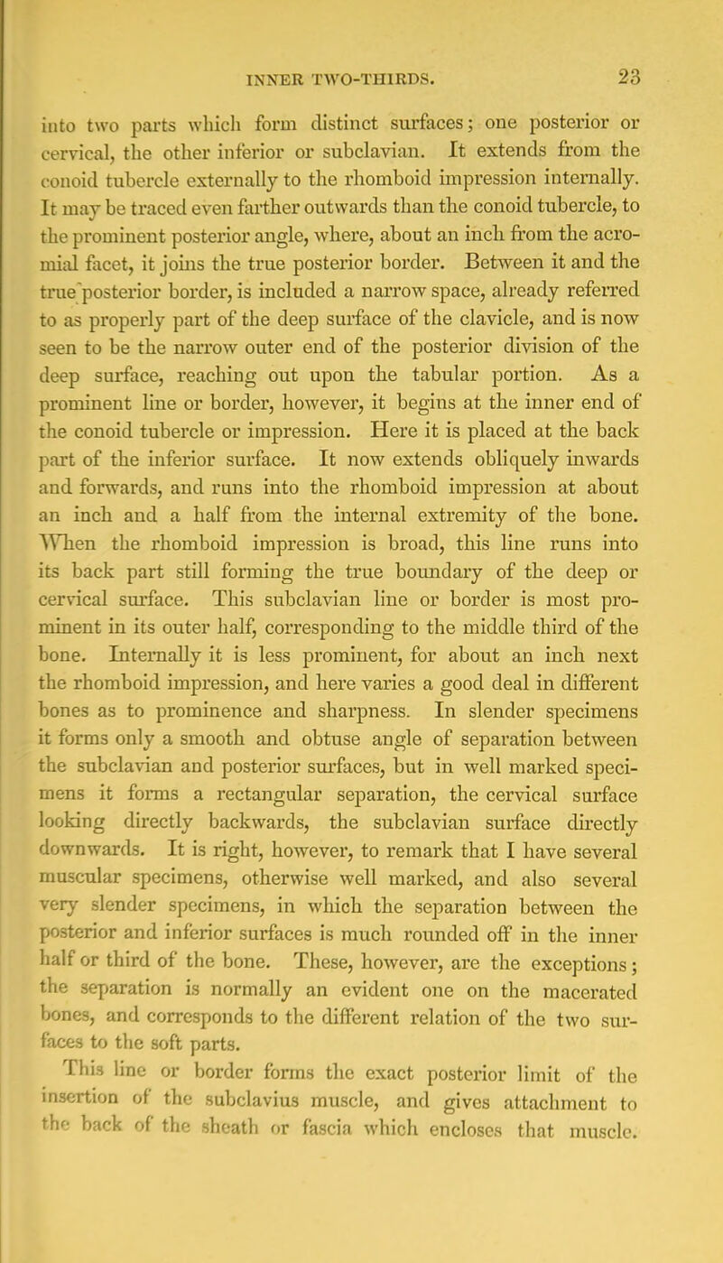 into two parts which form distinct surfaces; one posterior or cervical, the other inferior or subclavian. It extends from the conoid tubercle externally to the rhomboid impression internally. It may be traced even farther outwards than the conoid tubercle, to the prominent posterior angle, where, about an inch from the acro- mial facet, it joins the true posterior border. Between it and the true'posterior border, is included a narrow space, already referred to as properly part of the deep surface of the clavicle, and is now seen to be the narrow outer end of the posterior division of the deep surface, reaching out upon the tabular portion. As a prominent line or border, however, it begins at the inner end of the conoid tubercle or impression. Here it is placed at the back part of the inferior surface. It now extends obliquely inwards and forwards, and runs into the rhomboid impression at about an inch and a half from the internal extremity of the bone. When the rhomboid impression is broad, this line runs into its back part still forming the true boundary of the deep or cervical surface. This subclavian line or border is most pro- minent in its outer half, corresponding to the middle third of the bone. Internally it is less prominent, for about an inch next the rhomboid impression, and here varies a good deal in different bones as to prominence and sharpness. In slender specimens it forms only a smooth and obtuse angle of separation between the subclavian and posterior surfaces, but in well marked speci- mens it forms a rectangular separation, the cervical surface looking directly backwards, the subclavian surface directly downwards. It is right, however, to remark that I have several muscular specimens, otherwise well marked, and also several very slender specimens, in which the separation between the posterior and inferior surfaces is much rounded off in the inner half or third of the bone. These, however, are the exceptions; the separation is normally an evident one on the macerated bones, and corresponds to the different relation of the two sur- faces to the soft parts. This line or border forms the exact posterior limit of the insertion of the subclavius muscle, and gives attachment to thf back of the sheath or fascia which encloses that muscle.