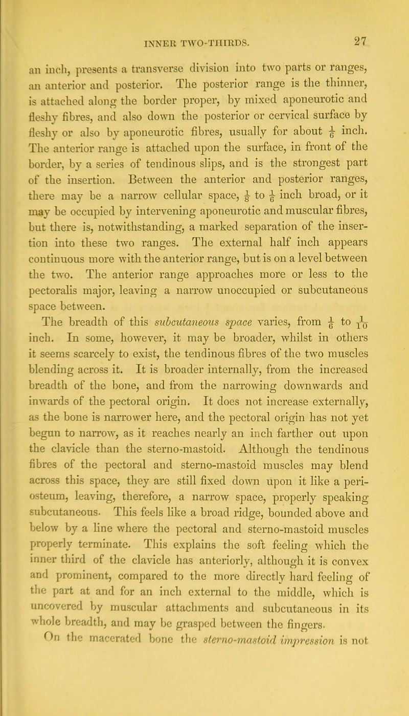 an inch, presents a transverse division into two parts or ranges, an anterior and posterior. The posterior range is the thinner, is attached along the border proper, by mixed aponeurotic and fleshy fibres, and also down the posterior or cervical surface by fleshy or also by aponeurotic fibres, usually for about £ inch. The anterior range is attached upon the surface, in front of the border, by a series of tendinous slips, and is the strongest part of the insertion. Between the anterior and posterior ranges, there may be a narrow cellular space, §■ to ^ inch broad, or it may be occupied by intervening aponeurotic and muscular fibres, but there is, notwithstanding, a marked separation of the inser- tion into these two ranges. The external half inch appears continuous more with the anterior range, but is on a level between the two. The anterior range approaches more or less to the pectoralis major, leaving a narrow unoccupied or subcutaneous space between. The breadth of this subcutaneous space varies, from ^ to ^ inch. In some, however, it may be broader, whilst in others it seems scarcely to exist, the tendinous fibres of the two muscles blending across it. It is broader internally, from the increased breadth of the bone, and from the narrowing downwards and inwards of the pectoral origin. It does not increase externally, as the bone is narrower here, and the pectoral origin has not yet begun to narrow, as it reaches nearly an inch farther out upon the clavicle than the sterno-mastoid. Although the tendinous fibres of the pectoral and sterno-mastoid muscles may blend across this space, they are still fixed down upon it like a peri- osteum, leaving, therefore, a narrow space, properly speaking subcutaneous. This feels like a broad ridge, bounded above and below by a line where the pectoral and sterno-mastoid muscles properly terminate. This explains the soft feeling which the inner third of the clavicle has anteriorly, although it is convex and prominent, compared to the more directly hard feeling of the part at and for an inch external to the middle, which is uncovered by muscular attachments and subcutaneous in its whole breadth, and may be grasped between the fingers. On the macerated bone the sterno-mastoid impression is not