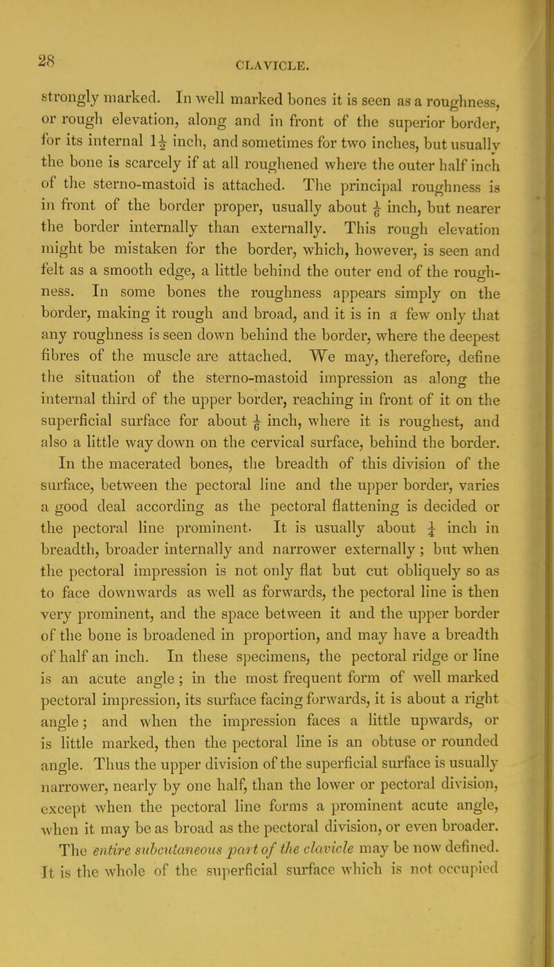 strongly marked. In well marked bones it is seen as a roughness, or rough elevation, along and in front of the superior border, for its internal 1^ inch, and sometimes for two inches, but usually the bone is scarcely if at all roughened where the outer half inch of the sterno-mastoid is attached. The principal roughness is in front of the border proper, usually about £ inch, but nearer the border internally than externally. This rough elevation might be mistaken for the border, which, however, is seen and felt as a smooth edge, a little behind the outer end of the rough- ness. In some bones the roughness appears simply on the border, making it rough and broad, and it is in a few only that any roughness is seen down behind the border, where the deepest fibres of the muscle are attached. We may, therefore, define the situation of the sterno-mastoid impression as along the internal third of the upper border, reaching in front of it on the superficial surface for about jr inch, where it is roughest, and also a little way down on the cervical surface, behind the border. In the macerated bones, the breadth of this division of the surface, between the pectoral line and the upper border, varies a good deal according as the pectoral flattening is decided or the pectoral line prominent- It is usually about ^ inch in breadth, broader internally and narrower externally ; but when the pectoral impression is not only flat but cut obliquely so as to face downwards as well as forwards, the pectoral line is then very prominent, and the space between it and the upper border of the bone is broadened in proportion, and may have a breadth of half an inch. In these specimens, the pectoral ridge or line is an acute angle; in the most frequent form of well marked pectoral impression, its surface facing forwards, it is about a right angle; and when the impression faces a little upwards, or is little marked, then the pectoral line is an obtuse or rounded angle. Thus the upper division of the superficial surface is usually narrower, nearly by one half, than the lower or pectoral division, except when the pectoral line forms a prominent acute angle, when it may be as broad as the pectoral division, or even broader. The entire subcutaneous part of the clavicle may be now defined. It is the whole of the superficial surface which is not occupied