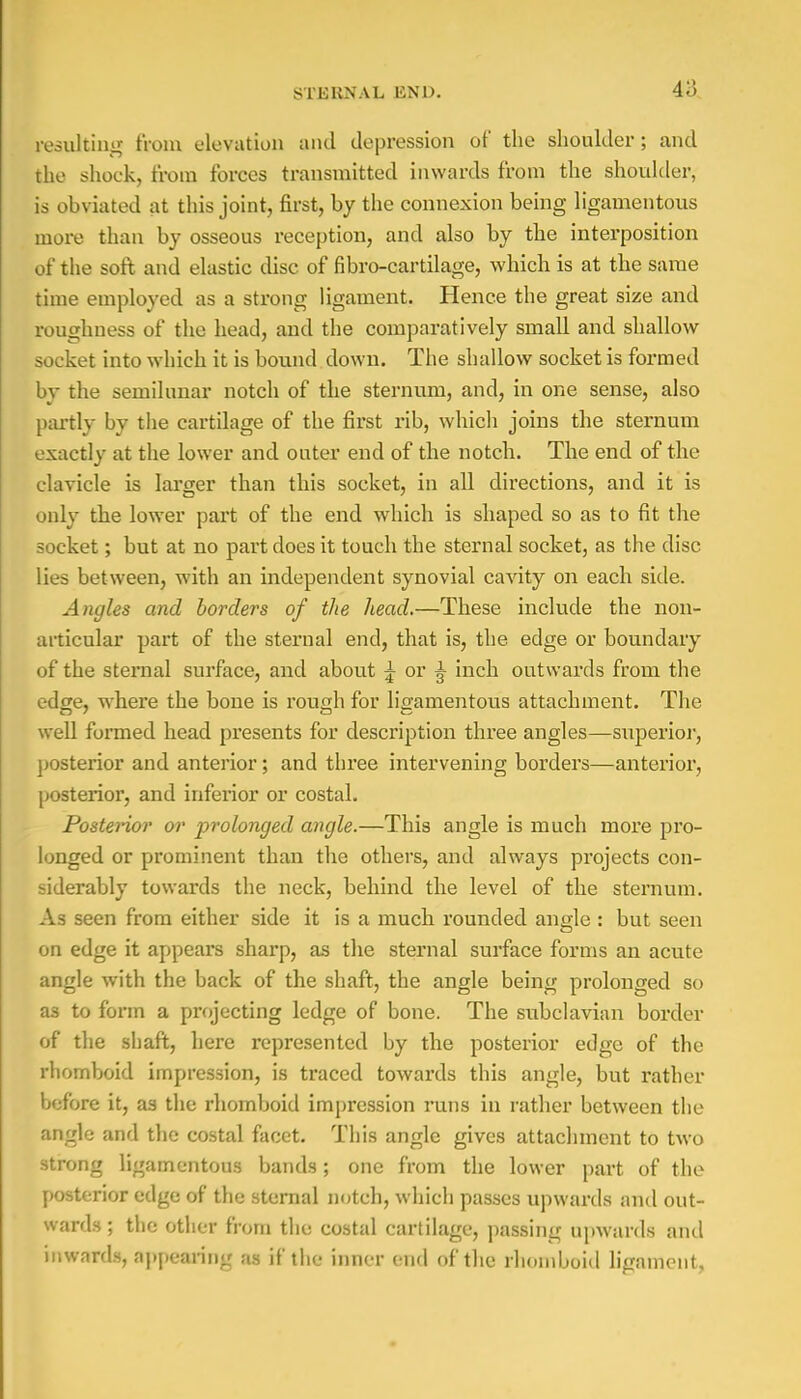 resulting from elevation and depression of the shoulder; and the shock, from forces transmitted inwards from the shoulder, is obviated at this joint, first, by the connexion being ligamentous more than by osseous reception, and also by the interposition of the soft and elastic disc of fibro-cartilage, which is at the same time employed as a strong ligament. Hence the great size and roughness of the head, and the comparatively small and shallow socket into which it is bound down. The shallow socket is formed by the semilunar notch of the sternum, and, in one sense, also partly hy the cartilage of the first rib, which joins the sternum exactly at the lower and outer end of the notch. The end of the clavicle is larger than this socket, in all directions, and it is only the lower part of the end which is shaped so as to fit the socket; but at no part does it touch the sternal socket, as the disc lies between, with an independent synovial cavity on each side. Angles and borders of the head.—These include the non- articular part of the sternal end, that is, the edge or boundary of the sternal surface, and about j or ^ inch outwards from the edge, where the bone is rough for ligamentous attachment. The well formed head presents for description three angles—superior, posterior and anterior; and three intervening borders—anterior, posterior, and inferior or costal. Posterior or prolonged angle.—This angle is much more pro- longed or prominent than the others, and always projects con- siderably towards the neck, behind the level of the sternum. As seen from either side it is a much rounded angle : but seen on edge it appears sharp, as the sternal surface forms an acute angle with the back of the shaft, the angle being prolonged so as to form a projecting ledge of bone. The subclavian border of the shaft, here represented by the posterior edge of the rhomboid impression, is traced towards this angle, but rather before it, as the rhomboid impression runs in rather between the angle and the costal facet. This angle gives attachment to two strong ligamentous bands; one from the lower part of the posterior edge of the sternal notch, which passes upwards and out- wards ; the other from the costal cartilage, passing upwards and inwards, appealing as if the inner end of the rhomboid ligament,