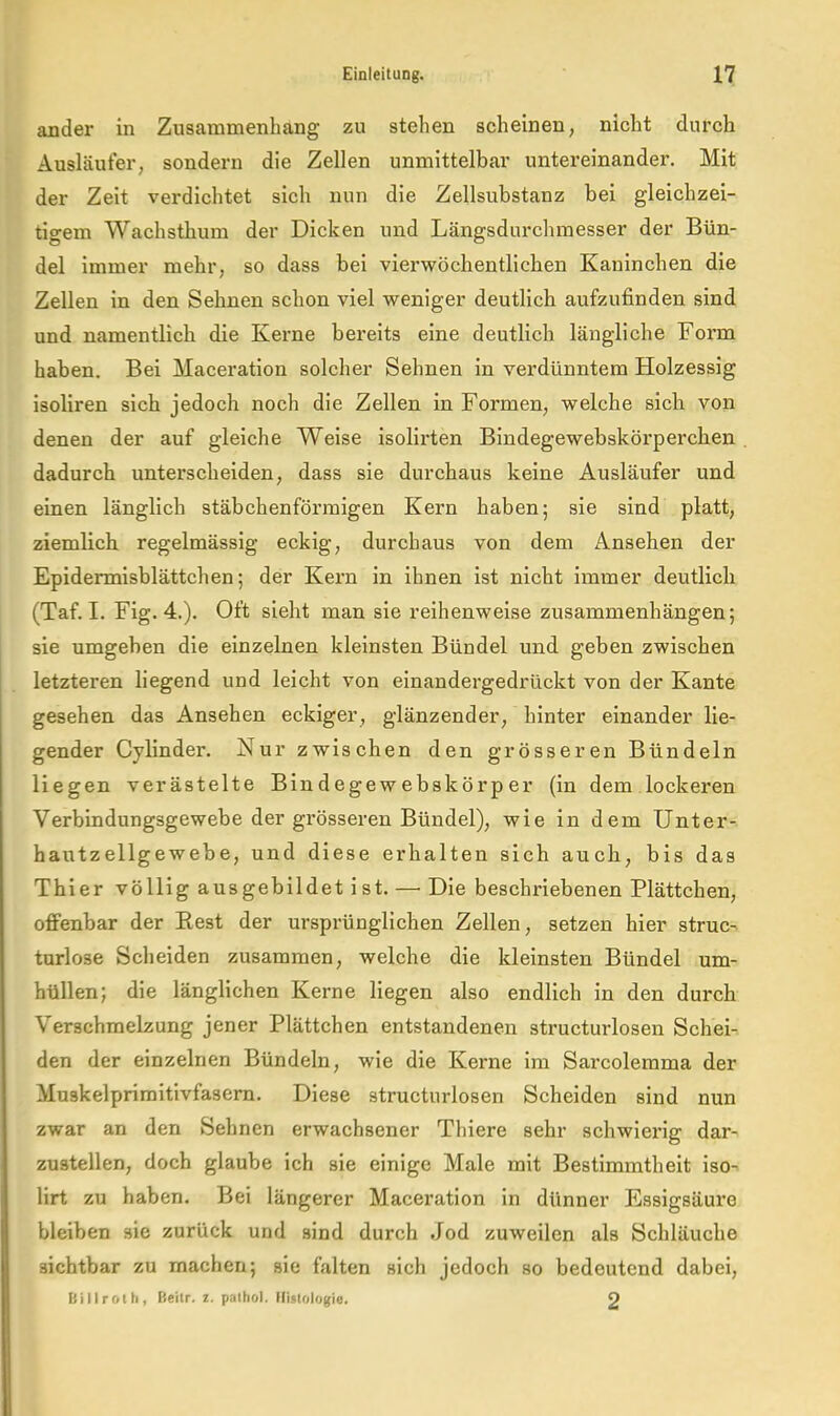 ander in Zusammenhang zu stehen scheinen, nicht durch Ausläufer, sondern die Zellen unmittelbar untereinander. Mit der Zelt verdichtet sich nun die Zellsubstanz bei gleichzei- tigem Wachsthum der Dicken und Längsdurchraesser der Bün- del immer mehr, so dass bei vierwöchentlichen Kaninchen die Zellen in den Sehnen schon viel weniger deutlich aufzufinden sind und namentlich die Kerne bereits eine deutlich längliche Form haben. Bei Maceration solcher Sehnen in verdünntem Holzessig isoliren sich jedoch noch die Zellen in Formen, welche sich von denen der auf gleiche Welse isolirten Bindegewebsköi’perchen dadurch unterscheiden, dass sie durchaus keine Ausläufer und einen länglich stäbchenförmigen Kern haben; sie sind platt, ziemlich regelmässig eckig, durchaus von dem Ansehen der Epidermisblättchen; der Kern in ihnen ist nicht immer deutlich (Taf. I. Fig. 4.). Oft sieht man sie reihenweise Zusammenhängen; sie umgeben die einzelnen kleinsten Bündel und geben zwischen letzteren Hegend und leicht von einandergedrückt von der Kante gesehen das Ansehen eckiger, glänzender, hinter einander lie- gender Cylinder. Nur zwischen den grösseren Bündeln liegen verästelte Bindegew ebskörp er (in dem lockeren Verbindungsgewebe der grösseren Bündel), wie in dem Unter- hautzellgewebe, und diese erhalten sich auch, bis das Thier völlig ausgebildet ist. —• Die beschriebenen Plättchen, offenbar der Best der ursprünglichen Zellen, setzen hier struc- turlose Scheiden zusammen, welche die kleinsten Bündel um- hüllen; die länglichen Kerne liegen also endlich in den durch Verschmelzung jener Plättchen entstandenen structurlosen Schei- den der einzelnen Bündeln, wie die Kerne im Sarcolerama der Muskelprimitivfasern. Diese structurlosen Scheiden sind nun zwar an den Sehnen erwachsener Thiere sehr schwierig dar- zustellen, doch glaube ich sie einige Male mit Bestimmtheit iso- lirt zu haben. Bei längerer Maceration in dünner Essigsäure bleiben sie zurück und sind durch Jod zuweilen als Schläuche sichtbar zu machen; sie falten sich jedoch so bedeutend dabei, billroth, Beitr. i. pathol. Histologie. 9