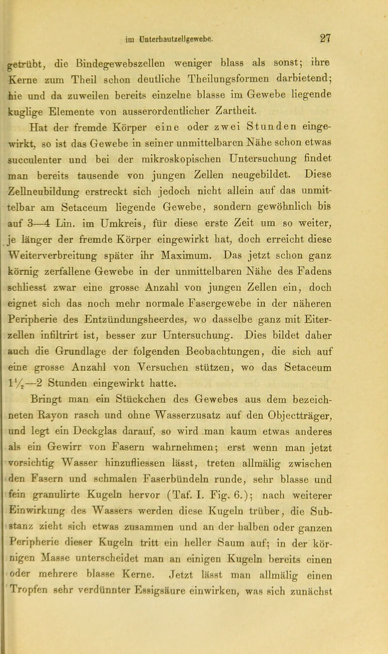 getrübt, die Bindegewebszellen weniger blass als sonst; ihre Kerne zum Theil schon deutliche Theihingsformen darbietend; hie und da zuweilen bereits einzelne blasse im Gewebe liegende kuglige Elemente von ausserordentlicher Zartheit. Hat der fremde Körper eine oder zwei Stunden einge- wirkt, so ist das Gewebe in seiner unmittelbaren Nähe schon etwas succulenter und bei der mikroskopischen Untersuchung findet man bereits tausende von jungen Zellen neugebildet. Diese Zellneubildung erstreckt sich jedoch nicht allein auf das unmit- telbar am Setaceum liegende Gewebe, sondern gewöhnlich bis auf 3—4 Lin. im Umkreis, für diese erste Zeit um so weiter, je länger der fremde Körper eingewirkt hat, doch erreicht diese Weiterverbreitung später ihr Maximum. Das jetzt schon ganz körnig zerfallene Gewebe in der unmittelbaren Nähe des Fadens schliesst zwar eine grosse Anzahl von jungen Zellen ein, doch eignet sich das noch mehr normale Fasergewehe in der näheren Peripherie des Entzündungsheerdes, wo dasselbe ganz mit Eiter- zellen infiltrirt ist, besser zur Untersuchung. Dies bildet daher auch die Grundlage der folgenden Beobachtungen, die sich auf eine grosse Anzahl von Versuchen stützen, wo das Setaceum 1%—2 Stunden eingewirkt hatte. Bringt man ein Stückchen des Gewebes aus dem bezeich- neten Rayon rasch und ohne Wasserzusatz auf den Objectträger, und legt ein Deckglas darauf, so wird man kaum etwas anderes als ein Gewirr von Fasern wahrnehmen; erst wenn man jetzt vorsichtig Wasser hinzufliessen lässt, treten allmälig zwischen den Fasern und schmalen Faserbündeln runde, sehr blasse und fein granulirte Kugeln hervor (Taf. I. Fig. 6.); nach weiterer Einwirkung des Wassers werden diese Kugeln trüber, die Sub- stanz zieht sich etwas zusammen und an der halben oder ganzen Peripherie dieser Kugeln tritt ein heller Saum auf; in der kör- nigen Masse unterscheidet man an einigen Kugeln bereits einen oder mehrere blasse Kerne. Jetzt lässt man allmälig einen Tropfen sehr verdünnter Essigsäure einwirken, was sich zunächst