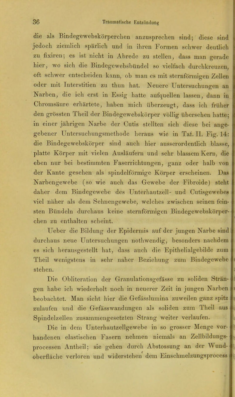 die als Bindegewebskörperclien anzusprechen sind; diese sind jedoch ziemlich spärlich und in ihren Formen schwer deutlich zu fixiren; es ist nicht in Abrede zu stellen, dass man gerade hier, wo sich die Bindcgewebsbündel so vielfach dui'chkreuzen, oft schwer entscheiden kann, ob man es mit sternförmigen Zellen oder mit Interstitien zu thun hat. Neuere Untersuchungen an Narben, die ich erst in Essig hatte aufquellen lassen, dann in Chromsäure erhärtete, haben mich überzeugt, dass ich früher den grössten Theil der Bindegewebskörper völlig übersehen hatte; in einer jährigen Narbe der Cutis stellten sich diese bei ange- gebener Untersuchungsmethode heraus wie in Tat. II. Fig. 14: die Bindegewebskörper sind auch hier ausserordentlich blasse, platte Körper mit vielen Ausläufern und sehr blassem Kern, die eben nur bei bestimmten Faserrichtungen, ganz oder halb von der Kante gesehen als spindelförmige Körper erscheinen. Das Narbengewebe (so wie auch das Gewebe der Fibroide) steht daher dem Bindegewebe des Unterhautzell- und Cutisgewebes viel näher als dem Sehnengewebe, welches zwischen seinen fein- sten Bündeln durchaus keine sternförmigen Bindegewebskörper- chen zu enthalten scheint. Ueber die Bildung der Epidermis auf der jungen Narbe sind durchaus neue Untersuchungen nothwendig, besonders nachdem es sich herausgestellt hat, dass auch die Epithelialgebilde zum Theil wenigstens in sehr naher Beziehung zum Bindegewebe stehen. Die Obliteration der Granulationsgefässe zu soliden Strän- gen habe ich wiederholt noch in neuerer Zeit in jungen Narben beobachtet. Man sieht hier die Gefässlumina zuweilen ganz spitz zulaufen und die Gefässwandungen als soliden zum Theil aus Spindelzellen zusammengesetzten Strang weiter veidaufen. Die in dem Unterhautzellgewebe in so grosser Menge vor- handenen elastischen Fasern nehmen niemals an Zellbildungs- processen Antheil; sie gehen durch Abstossung an der Wund- oberfläche verloren und widerstehen dem Einschmelzungsprocess