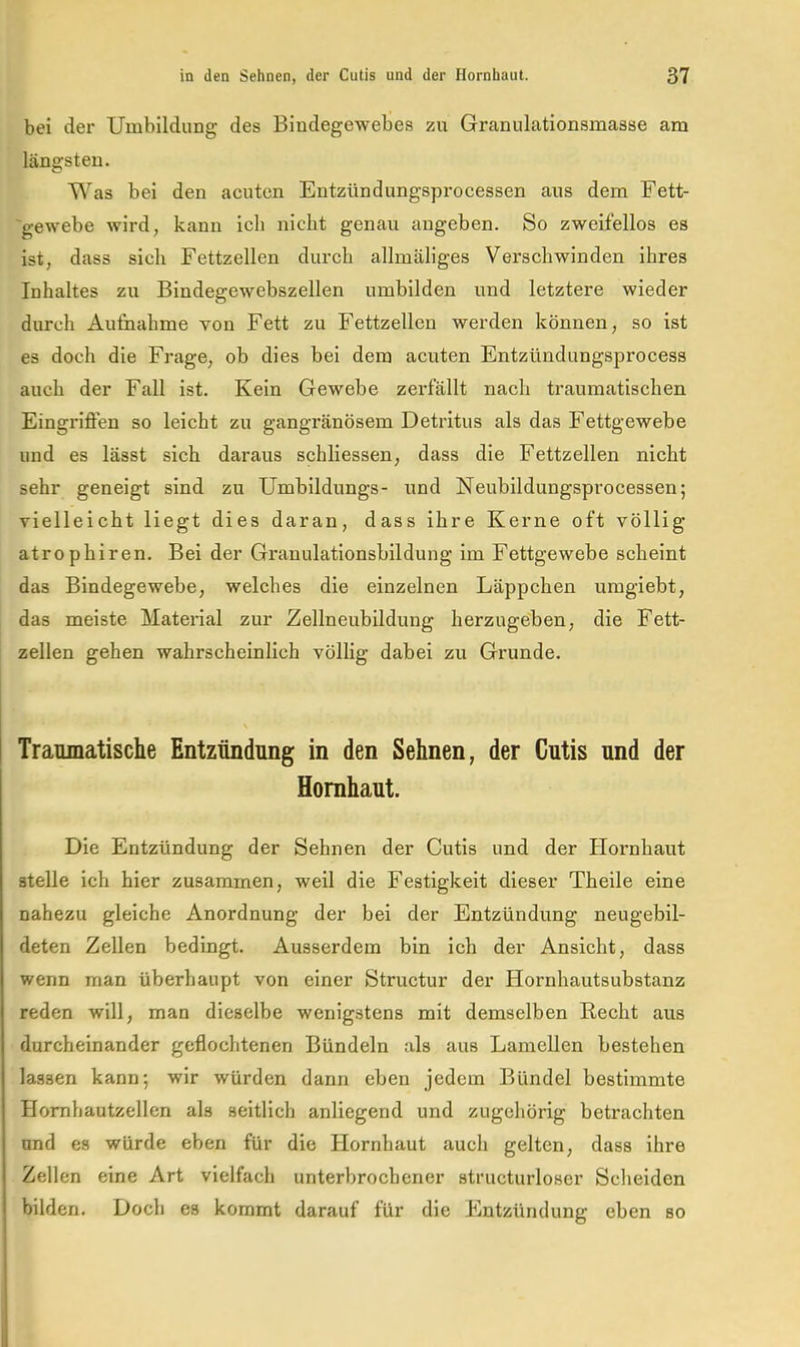 bei der Umbildung des Bindegewebes zu Granulationsmasse am längsten. Was bei den acuten Eutzündungsprocessen aus dem Fett- 'gewebe wird, kann ich nicht genau angeben. So zweifellos es ist, dass sich Fettzellen durch allmäliges Verschwinden ihres Inhaltes zu Bindegewebszellen umbilden und letztere wieder durch Aufnahme von Fett zu Fettzellen werden können, so ist es doch die Frage, ob dies bei dem acuten Entzündungsprocess auch der Fall ist. Kein Gewebe zerfällt nach traumatischen Eingriffen so leicht zu gangränösem Detritus als das Fettgewebe und es lässt sich daraus schliessen, dass die Fettzellen nicht sehr geneigt sind zu Umbildungs- und Neubildungsprocessen; vielleicht liegt dies daran, dass ihre Kerne oft völlig atrophiren. Bei der Granulationsbildung im Fettgewebe scheint das Bindegewebe, welches die einzelnen Läppchen umgiebt, das meiste Material zur Zellneubildung herzugeben, die Fett- zellen gehen wahrscheinlich völlig dabei zu Grunde. Traumatische Entzündung in den Sehnen, der Cutis und der Hornhaut. Die Entzündung der Sehnen der Cutis und der Hornhaut stelle ich hier zusammen, weil die Festigkeit dieser Theile eine nahezu gleiche Anordnung der bei der Entzündung neugebil- deten Zellen bedingt. Ausserdem bin ich der Ansicht, dass wenn man überhaupt von einer Structur der Hornhautsubstanz reden will, man dieselbe wenigstens mit demselben Recht aus durcheinander geflochtenen Bündeln als aus Lamellen bestehen lassen kann; wir würden dann eben jedem Bündel bestimmte Homhautzellen als seitlich anliegend und zugehörig betrachten und es würde eben für die Hornhaut auch gelten, dass ihre Zellen eine Art vielfach unterbrochener structurloser Scheiden bilden. Doch es kommt darauf für die Entzündung eben so