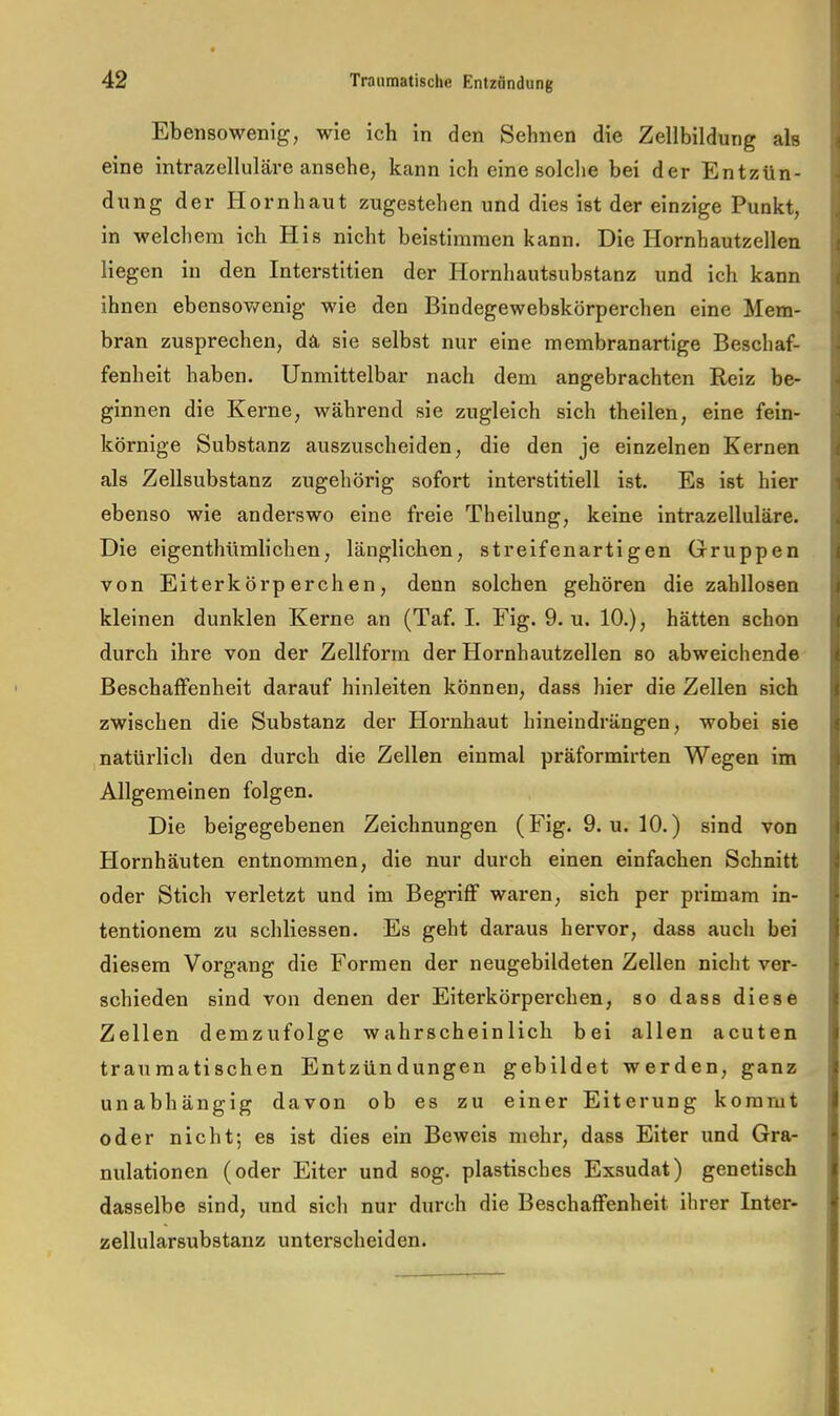 Ebensowenig, wie ich in den Sehnen die Zellbildung als eine intrazelluläre ansehe, kann ich eine solclie bei der Entzün- dung der Hornhaut zugestehen und dies ist der einzige Punkt, in welchem ich His nicht heistimmen kann. Die Hornhautzellen liegen in den Interstitien der Hornhautsubstanz und ich kann ihnen ebensov/enig wie den Bindegewebskörperchen eine Mem- bran zusprechen, dä sie selbst nur eine membranartige Beschaf- fenheit haben. Unmittelbar nach dem angebrachten Reiz be- ginnen die Kerne, während sie zugleich sich theilen, eine fein- körnige Substanz auszuscheiden, die den je einzelnen Kernen als Zellsubstanz zugehörig sofort interstitiell ist. Es ist hier ebenso wie anderswo eine freie Theilung, keine intrazelluläre. Die eigenthümlichen, länglichen, streifenartigen Gruppen von Eiterkörperchen, denn solchen gehören die zahllosen kleinen dunklen Kerne an (Taf. I. Fig. 9. u. 10.), hätten schon durch ihre von der Zellform der Hornhautzellen so abweichende Beschaffenheit darauf hinleiten können, dass hier die Zellen sich zwischen die Substanz der Hornhaut hineindrängen, wobei sie natürlich den durch die Zellen einmal präformirten Wegen im Allgemeinen folgen. Die beigegebenen Zeichnungen (Fig. 9. u. 10.) sind von Hornhäuten entnommen, die nur durch einen einfachen Schnitt oder Stich verletzt und im Begriff waren, sich per primam in- tentionem zu schliessen. Es geht daraus hervor, dass auch bei diesem Vorgang die Formen der neugebildeten Zellen nicht ver- schieden sind von denen der Eiterkörperchen, so dass diese Zellen demzufolge wahrscheinlich bei allen acuten traumatischen Entzündungen gebildet werden, ganz unabhängig davon ob es zu einer Eiterung kommt oder nicht; es ist dies ein Beweis mehr, dass Eiter und Gra- nulationen (oder Eiter und sog. plastisches Exsudat) genetisch dasselbe sind, und sich nur durch die Beschaffenheit ihrer Inter- zellularsubstanz unterscheiden.