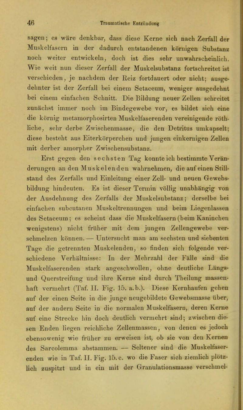 sagen; es wäre denkbar, dass diese Kerne sich nach Zerfall der Muskelfasern in der dadurch entstandenen körnigen Substanz noch weiter entwickeln, doch ist dies sehr unwahrscheinlich. Wie weit nun dieser Zerfall der Muskelsubstanz fortschreitet ist verschieden, je nachdem der Reiz fortdauert oder nicht; ausge- dehnter ist der Zerfall bei einem Setaceum, weniger ausgedehnt bei einem einfachen Schnitt. Die Bildung neuer Zellen schreitet zunächst immer noch im Bindegewebe vor, es bildet sich eine die körnig metamorphosirten Muskelfaserenden vereinigende röth- liche, sehr derbe Zwischenmasse, die den Detritus umkapselt; diese besteht aus Eiterkörperchen und jungen einkernigen Zellen mit derber amoi’pher Zwischensubstanz. Erst gegen den sechsten Tag konnte ich bestimmte Verän- derungen an den Muskelenden wahrnehmen, die auf einen Still- stand des Zerfalls und Einleitung einer Zell- und neuen Gewebs- bildung hindeuten. Es ist dieser Termin völlig unabhängig von der Ausdehnung des Zerfalls der Muskelsubstanz; derselbe bei einfachen subcutanen Muskeltrennungen und beim Liegenlassen des Setaceum; es scheint dass die Muskelfasern (beim Kaninchen wenigstens) nicht früher mit dem jungen Zellengewebe ver- schmelzen können. — Untersucht man am sechsten und siebenten Tage die getrennten Muskelenden, so finden sich folgende ver- schiedene Verhältnisse: In der Mehrzahl der Fälle sind die Muskelfaserenden stark angeschwollen, ohne deutliche Längs- und Querstreifung und ihre Kerne sind durch Theilung massen- haft vermehrt (Taf. II. Fig. 15. a. b.). Diese Kernhaufen gehen auf der einen Seite in die junge neugebildete Gewebsmasse über, auf der andern Seite in die normalen Muskelfasern, deren Kerne auf eine Strecke hin doch deutlich vei’inehrt sind; zwischen die- sen Enden liegen reichliche Zellenmassen, von denen es jedoch ebensowenig wie früher zu erweisen ist, ob sie von den Kernen des Sarcolemma abstammen. — Seltener sind die Muskelfaser- enden wie in Taf. II. Fig. 15. c. wo die Faser sich ziemlich plötz- lich zuspitzt und in ein mit der Granulationsmasse verschmel-