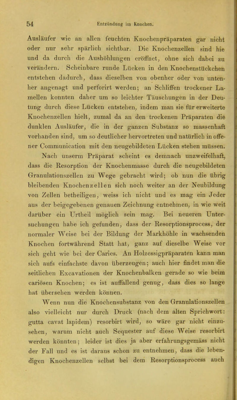 Ausläufer wie an allen feuchten Knochenpräparaten gar nicht oder nur sehr spärlich sichtbar. Die Knochenzellen sind hie und da durch die Aushöhlungen eröffnet, ohne sich dabei zu verändern. Scheinbare runde Lücken in den Knochenstückchen entstehen dadurch, dass dieselben von obenher oder von unten- her angenagt und perforirt werden; an Schliffen trockener La- mellen konnten daher um so leichter Täuschungen in der Deu- tung durch diese Lücken entstehen, indem man sie für erweiterte Knochenzellen hielt, zumal da an den trockenen Präparaten die dunklen Ausläufer, die in der ganzen Substanz so massenhaft vorhanden sind, um so deutlicher hervortreten und natürlich in offe- ner Communication mit den neugebildeten Lücken stehen müssen. Nach unserm Präparat scheint es demnach unzweifelhaft, dass die Resorption der Knochenmasse durch die neugebildeten Granulationszellen zu Wege gebracht wird; ob nun die übrig bleibenden Knochenzellen sich noch weiter an der Neubildung von Zellen betheiligen, weiss ich nicht und es mag ein Jeder aus der beigegebenen genauen Zeichnung entnehmen, in wie weit darüber ein Urtheil möglich sein mag. Bei neueren Unter- suchungen habe ich gefunden, dass der Resorptionsprocess, der normaler Weise bei der Bildung der Markhöhle in wachsenden Knochen fortwährend Statt hat, ganz auf dieselbe Weise vor sich geht wie bei der Caries, An Holzessigpräparaten kann man sich aufs einfachste davon überzeugen; auch hier findet man die seitlichen Excavationen der Knochenbalken gerade so wie beim cariösen Knochen; es ist auffallend genug, dass dies so lange hat übersehen werden können. Wenn nun die Knochensubstanz von den Granulationszellen also vielleicht nur durch Druck (nach dem alten Sprichwort: gutta cavat lapidem) resorbirt wird, so wäre gar nicht einzu- sehen, warum nicht auch Sequester auf diese Weise resorbirt werden könnten; leider ist dies ja aber erfahrungsgemäss nicht der Fall und es ist daraus schon zu entnehmen, dass die leben- digen Knochenzellen selbst bei dem Resorptionsprocess auch