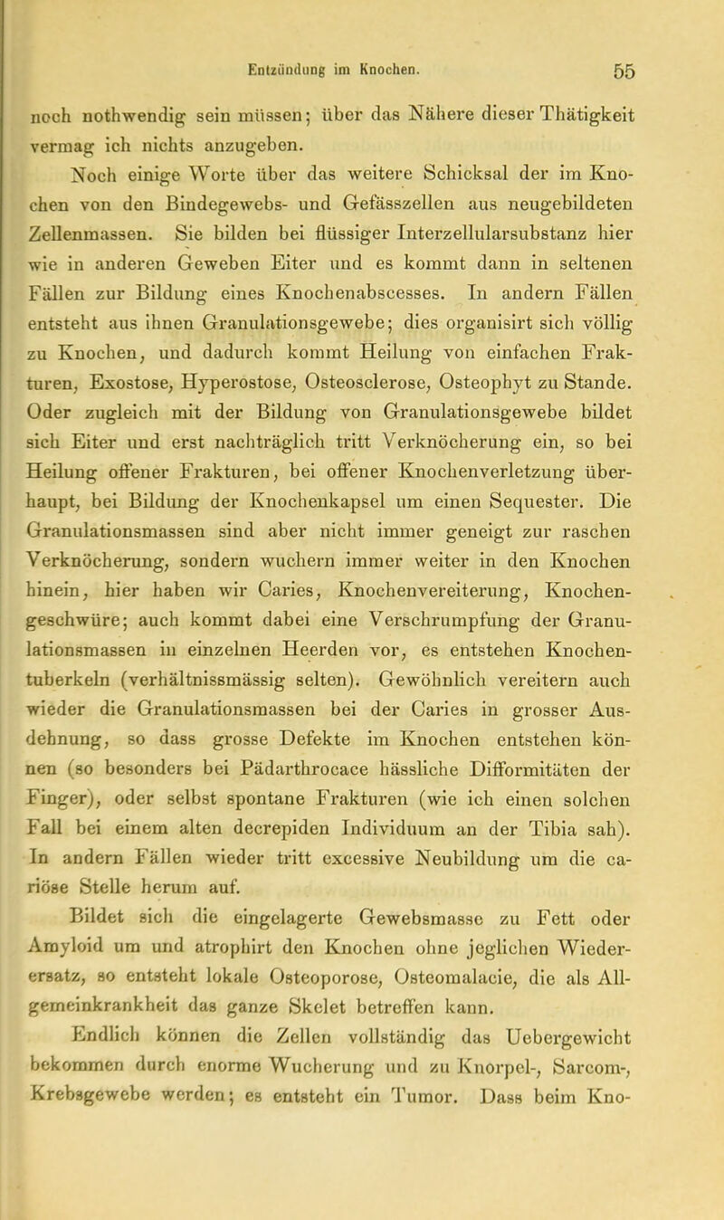 noch nothwendig sein müssen; über das Nähere dieser Thätigkeit vermag ich nichts anzugeben. Noch einige Worte über das weitere Schicksal der im Kno- chen von den Bindegewebs- und Gefässzellen aus neugebildeten ZeUenmassen. Sie bilden bei flüssiger Interzellularsubstanz hier wie in anderen Geweben Eiter und es kommt dann in seltenen Fällen zur Bildung eines Knochenabscesses. In andern Fällen entsteht aus ihnen Granulationsgewebe; dies organisirt sich völlig zu Knochen, und dadurch kommt Heilung von einfachen Frak- turen, Exostose, Hyperostose, Osteosclerose, Osteophyt zu Stande. Oder zugleich mit der Bildung von Granulationsgewebe bildet sich Eiter und erst nacliträglich tritt Verknöcherung ein, so bei Heilung ofl^ener Frakturen, bei oflFener Knochenverletzung über- haupt, bei Bildung der Knochenkapsel um einen Sequester. Die Granulationsmassen sind aber nicht immer geneigt zur raschen Verknöcherung, sondern wuchern immer weiter in den Knochen hinein, hier haben wir Caries, Knochenvereiterung, Knochen- geschwüre; auch kommt dabei eine Verschrumpfung der Granu- lationsmassen in einzelnen Heerden vor, es entstehen Knochen- tuberkeln (verhältnissmässig selten). Gewöhnlich vereitern auch wieder die Granulationsmassen bei der Caries in grosser Aus- dehnung, so dass grosse Defekte im Knochen entstehen kön- nen (so besonders bei Pädarthrocace hässliche Difibrmitäten der Finger), oder selbst spontane Frakturen (wie ich einen solchen Fall bei einem alten decrepiden Individuum an der Tibia sah). In andern Fällen wieder tritt excessive Neubildung um die ca- riöse Stelle herum auf. Bildet sich die eingelagerte Gewebsmasse zu Fett oder Amyloid um und atrophirt den Knochen ohne jeglichen Wieder- ersatz, so entsteht lokale Osteoporose, Osteomalacie, die als All- gemeinkrankheit das ganze Skelet betreffen kann. Endlich können die Zellen vollständig das Uebergewicht bekommen durch enorme Wucherung und zu Knorpel-, Sarcom-, Krebsgewebe werden; es entsteht ein Tumor. Dass beim Kno-