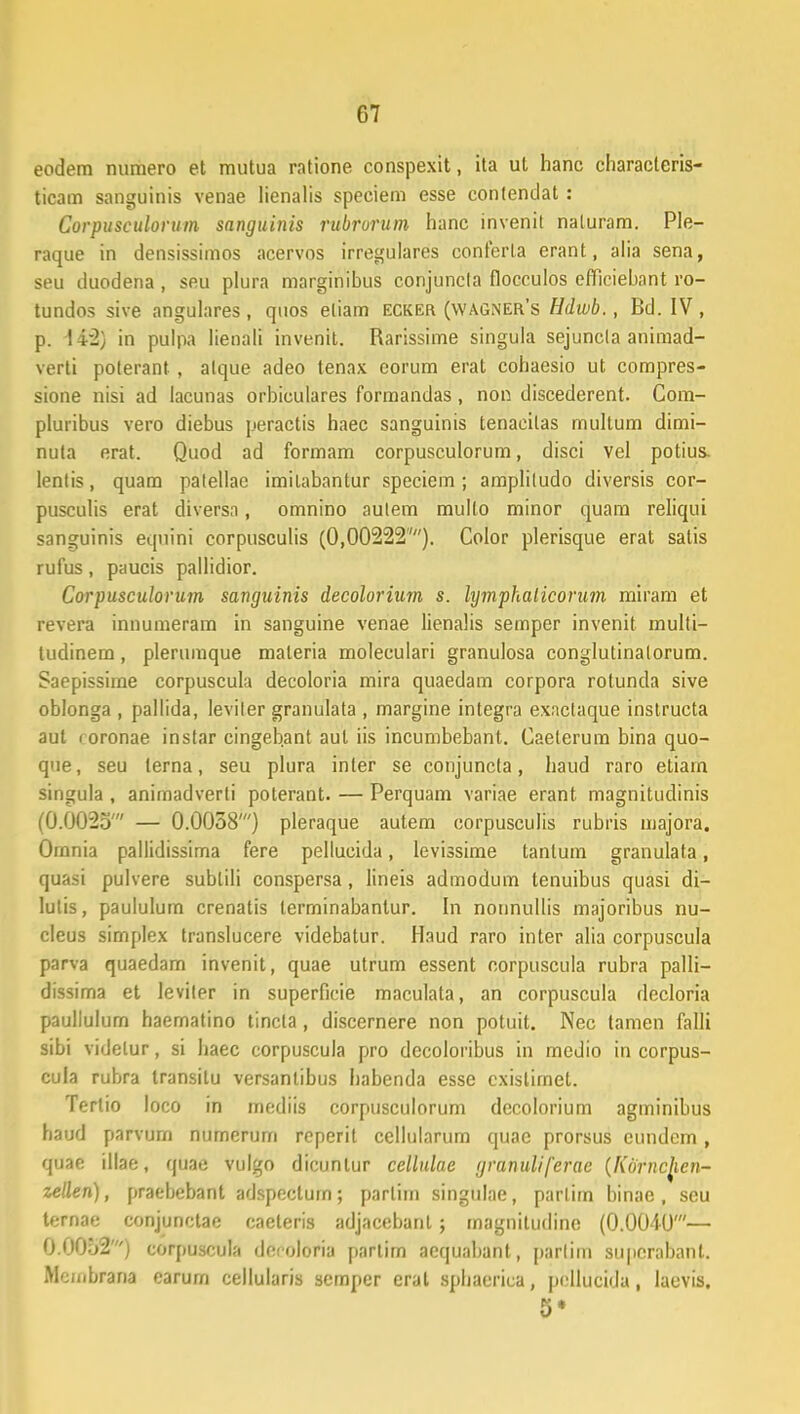 eodem numero et mutua ratione conspexit, ita ut hanc characleris- ticam sanguinis venae lienalis speciem esse conlendat : Corpusculorum sanguinis rubrorum hanc invenit naluram. Ple- raque in densissimos acervos irregulares conferla erant, alia sena, seu duodena, seu plura marginibus conjuncta flocculos efficiebant ro- tundos sive angulares, quos eliam ecker (wagner's Hdwb., Bd. IV, p. 1 42) in pulna lienali invenit. Rarissime singula sejuncla animad- verti poterant , alque adeo tenax eorum erat cohaesio ut compres- sione nisi ad lacunas orbiculares formandas, non discederent. Com- pluribus vero diebus peractis haec sanguinis tenacilas multum dimi- nula erat. Quod ad formam corpusculorum, disci vel potius. lenlis, quam palellae imilabantur speciem ; ampliludo diversis cor- pusculis erat diversa, omnino autem mullo minor quam reliqui sanguinis eqnini corpusculis (0,00222''). Color plerisque erat satis rufus, paucis pallidior. Corpusculorum sanguinis decolorium s. lymphalicorum miram et revera innumeram in sanguine venae lienalis semper invenit multi- tudinem, plerumque maleria moleculari granulosa conglutinalorum. Saepissime corpuscula decoloria mira quaedam corpora rotunda sive oblonga , pallida, leviler granulata , margine integra exaclaque instructa aut roronae inslar cingebant aul iis incumbebant. Caeterum bina quo- que, seu terna, seu plura inter se conjuncla, haud raro etiam singula, animadverti poterant. — Perquam variae erant magnitudinis (0.0025' — 0.0058') pleraque autem corpusculis rubris majora. Omnia pallidissima fere pellucida, levissime tantum granulafa, quasi pulvere subtili conspersa, lineis admodum lenuibus quasi di- lulis, paululum crenatis terrninabantur. In nonnullis majoribus nu- cleus simplex translucere videbatur. Haud raro inter alia corpuscula parva quaedam invenit, quae utrum essent corpuscula rubra palli- dissima et leviler in superficie maculata, an corpuscula decloria paullulum haematino tincta, discernere non potuit. Nec tamen falli sibi videlur, si haec corpuscula pro dccoloribus in rnedio in corpus- cula rubra transilu versanlibus habenda esse cxistimet. Tertio loco in mediis corpusculorum decolorium agminibus haud parvum nurncrurn rcperit ccllularum quac prorsus eundcm, quae illae, quae vulgo dicunlur cellulae granuliferae {Kbrncjien- zellen), praebebant adspectum; parliin singulae, parlim binae, seu ternae conjunctae caeteris adjacebanl; magnitudine (0.0040'— 0.0052') corpuscula deroloria partim aequabant, parliin superabant. Membrana earum cellularis semper erat sphacrica, pollucida, lacvis.