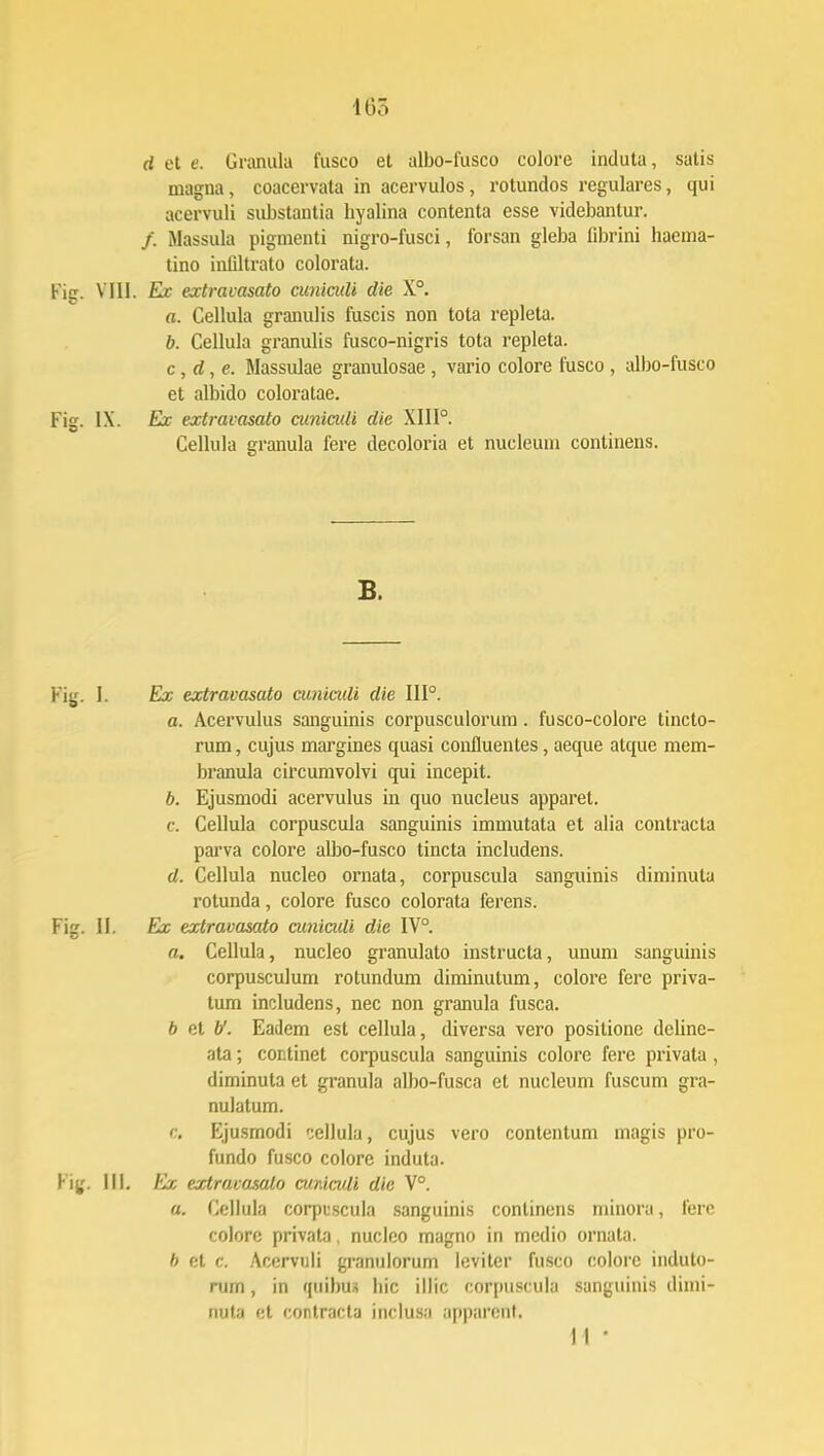 d et e. Granula fusco et albo-fusco colore induta, satis magna, coacervata in acervulos, rotundos regulares, qui acervuli substantia hyalina contenta esse videbantur. /. Massula pigmenti nigro-fusci, forsan gleba fibrini haema- tino infiltrato colorata. Fig. VIII. Ex extravasato cuniculi die X°. «. Cellula granulis fuscis non tota repleta. b. Cellula granulis fusco-nigris tota repleta. c, d,e. Massulae granulosae , vario colore fusco , albo-fusco et albido coloratae. Fig. IX. Ex extravasato cunicidi die XIII0. Cellula granula fere decoloria et nucleum continens. B. Fig. I. Ex extravasato cuniadi die III0. a. Acervulus sanguinis corpusculorum. fusco-colore tincto- rum, cujus margines quasi confluentes, aeque atque mem- branula circumvolvi qui incepit. b. Ejusmodi acervulus in quo nucleus apparel. c. Cellula corpuscula sanguinis immutata et alia contracta parva colore albo-fusco tincta includens. d. Cellula nucleo ornata, corpuscula sanguinis diminuta rotunda, colore fusco colorata ferens. Rg. II. Ex extravasato cunicidi die IV°. a. Cellula, nucleo granulato instructa, unum sanguinis corpusculum rotundum diminutum, colore fere priva- tum includens, nec non granula fusca. b et V. Eadem est cellula, diversa vero posilione delinc- ata; continet corpuscula sanguinis colore fere privata, diminuta et granula albo-fusca et nucleum fuscum gra- nulatum. c. Ejusmodi ':ellula, cujus vero contentum magis pro- fundo fusco colore induta. Bf. III. Ex extravasalo cuniadi dic V°. n. Ccllula corpuscula sanguinis continens minora, ferc colore privata, nucleo magno in mcdio ornata. b el c. Acervuli granulorum leviter fusco colore induto- rum, in quibus hic illic corpuscula sanguinis dimi- nuta et contracta inclusa ajiparont. H '