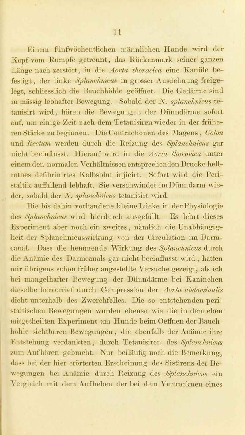 Einem fiinfwöcheutlicheu inäiinlichcn Hunde wird der Kopf vom Kumpte getrennt, das Rückenmark seiner ganzen Länge nacli zerstört, in die Aorta thoracica eine Kanüle be- festigt , der linke Sj)lu?/r/tm'ms in grosser Ausdehnung freige- legt, schliesslich die l^auchhöhle geöffnet. Die Gedärme sind in massig lebhafter Bewegung. Sobald der N. splatichmctis te- tanisirt wird, hören die Bewegungen der Dünndärme sofort auf, um einige Zeit nach dem Tetanisiren wieder in der frühe- ren Stärke zu beginnen. DieContractionen des Magens, Colon und Rectum werden durch die Heizung des Splanclmicus gar nicht beeinfiusst. Hierauf wird in die Aorta thoracica unter einem den normalen Verhältnissen entsprechenden Drucke hell- rothes defibrinirtes Kalbsblut injicirt. Sofort Avird die Peri- staltik auffallend lebhaft. Sie verschwindet iniDünndaiTa wie- der, sobald der N. sjjlanchnicus tetanisirt wird. Die bis dahin vorhandene kleine Lücke in der Physiologie des Sjilanchnicus wird hierdiu-ch ausgefüllt. Es lehrt dieses Experiment aber noch ein zweites, nämlich die Unabhängig- keit der Splanchnicuswirkung von der Circulation im Darm- canal. Dass die hemmende Wirkving des Splanchnicus durch die Anämie des Darmcanals gar nicht beeinflusst wird, hatten mir übrigens schon früher angestellte Versuche gezeigt, als ich bei mangelhafter Bewegimg der Dünndärme bei Kaninchen dieselbe hervorrief durch Compression der Aorta ahdoviinalis dicht unterhalb des Zwerchfelles. Die so entstehenden peri- staltischen l^ewegungen wurden ebenso wie die in dem eben mitgetheilten Experiment am Hunde beim Oeffhen der Bauch- höhle sichtbaren Bewegungen, die ebenfalls der Anämie ihi'e Entstehung verdankten, durch Tetanisiren des Splanchnicus zum Aufhören gebracht. Nur beiläufig noch die Bemerkung, dass bei der hier erörterten Erscheinung des Sistirens der Be- wegungen bei Anämie durch Reizung des Splanchnicus ein Vergleich mit dem Aufheben der bei dem Vertrocknen eines