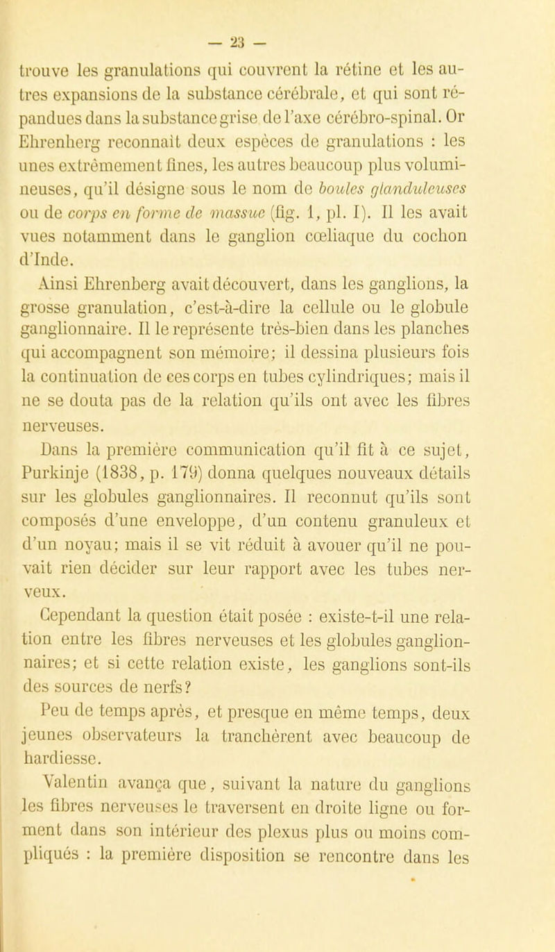trouve les granulations qui couvrent la rétine et les au- tres expansions de la substance cérébrale, et qui sont ré- pandues dans la substance grise de l'axe cérébro-spinal. Or Ehrenherg reconnaît deux espèces de granulations : les unes extrêmement fines, les autres beaucoup plus volumi- neuses, qu'il désigne sous le nom de boules glanduleuses ou de corps en forme de massue (fig. 1, pl. I). Il les avait vues notamment dans le ganglion cœliaque du cochon d'Inde. Ainsi Ehrenberg avait découvert, clans les ganglions, la grosse granulation, c'est-à-dire la cellule ou le globule ganglionnaire. Il le représente très-bien dans les planches qui accompagnent son mémoire; il dessina plusieurs fois la continuation de ces corps en tubes cylindriques; mais il ne se douta pas de la relation qu'ils ont avec les fibres nerveuses. Bans la première communication qu'il fit à ce sujet, Purkinje (1838, p. 179) donna quelques nouveaux détails sur les globules ganglionnaires. Il reconnut qu'ils sont composés d'une enveloppe, d'un contenu granuleux et d'un noyau; mais il se vit réduit à avouer qu'il ne pou- vait rien décider sur leur rapport avec les tubes ner- veux. Cependant la question était posée : existe-t-il une rela- tion entre les fibres nerveuses et les globules ganglion- naires; et si cette relation existe, les ganglions sont-ils des sources de nerfs ? Peu de temps après, et presque en même temps, deux jeunes observateurs la tranchèrent avec beaucoup de hardiesse. Valentin avança que, suivant la nature du ganglions les fibres nerveuses le traversent en droite ligne ou for- ment dans son intérieur des plexus plus ou moins com- pliqués : la première disposition se rencontre dans les