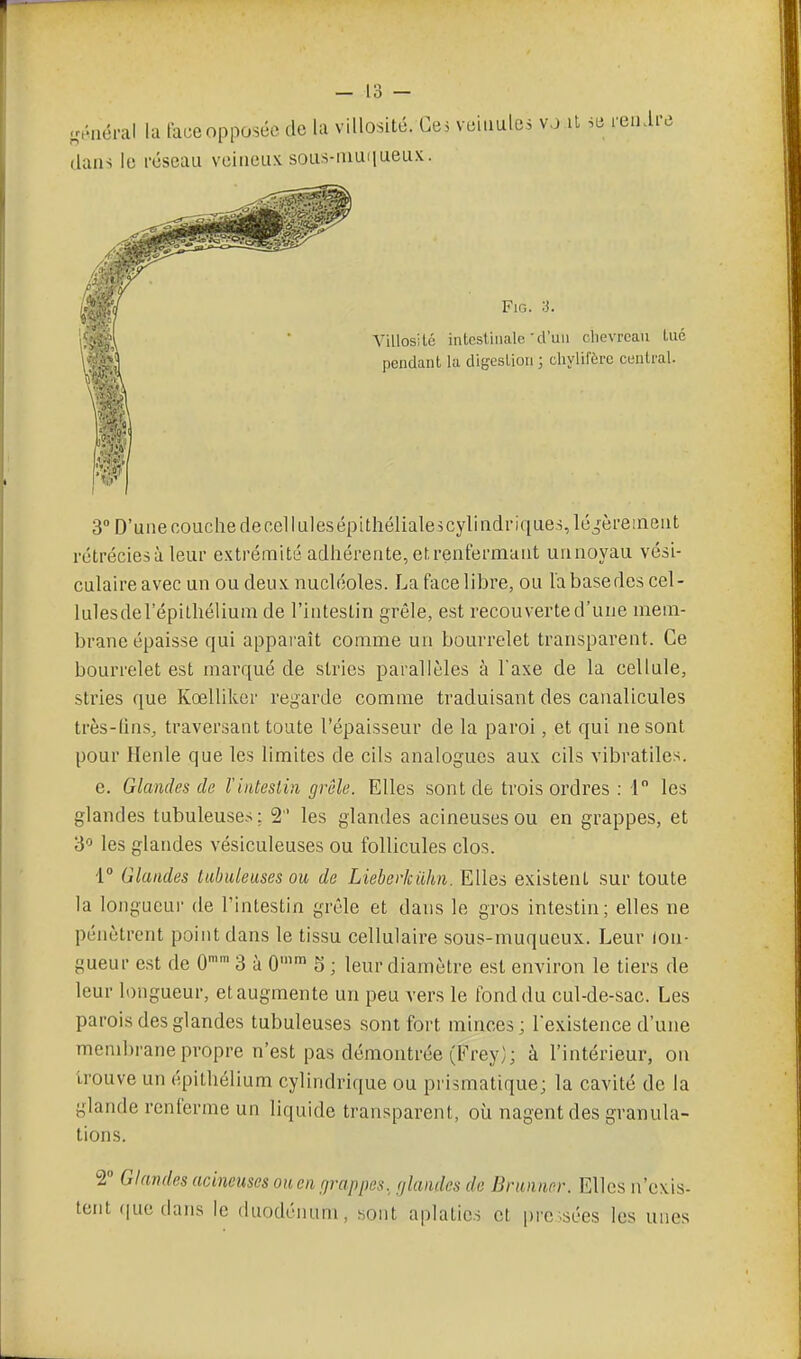 3° D'une couche decellulesépithélialescylindi-i([ue.s,léj'èreineiit rétréciesà leur extrémité adhérente, ef,renfermant unnoyau vési- culaire avec un ou deux nucléoles. La face libre, ou la base des cel- lulesdel'épithélium de l'intestin grêle, est recouverte d'une mem- brane épaisse qui appai'aît comme un bourrelet transparent. Ce bourrelet est marqué de stries parallèles à Taxe de la cellule, stries que Kœlliker regarde comme traduisant des canalicules très-lins, traversant toute l'épaisseur de la paroi, et qui ne sont pour Henle que les limites de cils analogues aux cils vibratiles. e. Glandes de l'intestin grêle. Elles sont de trois ordres ; 1 les glandes tubuleuses: 2 les glandes acineusesou en grappes, et 3 les glandes vésiculeuses ou follicules clos. 1° Glandes tubuleuses ou de Liehevkiihn. Elles existent sur toute la longueur de l'intestin grêle et dans le gros intestin; elles ne pénètrent point dans le tissu cellulaire sous-muqueux. Leur lon- gueur est de 0 3 à 0'' 5 ; leur diamètre est environ le tiers de leur longueur, et augmente un peu vers le fond du cul-de-sac. Les parois des glandes tubuleuses sont fort minces; l'existence d'une membrane propre n'est pas démontrée (Frey); à l'intérieur, on trouve un épitliélium cylindrique ou prismatique; la cavité de la glande renferme un liquide transparent, où nagent des granula- tions. T Glandes acineuses on en rjrappes, glandes de Brmner. Elles n'exis- tent (|uedans le duodénum, sont aplaties et pre.sées les unes